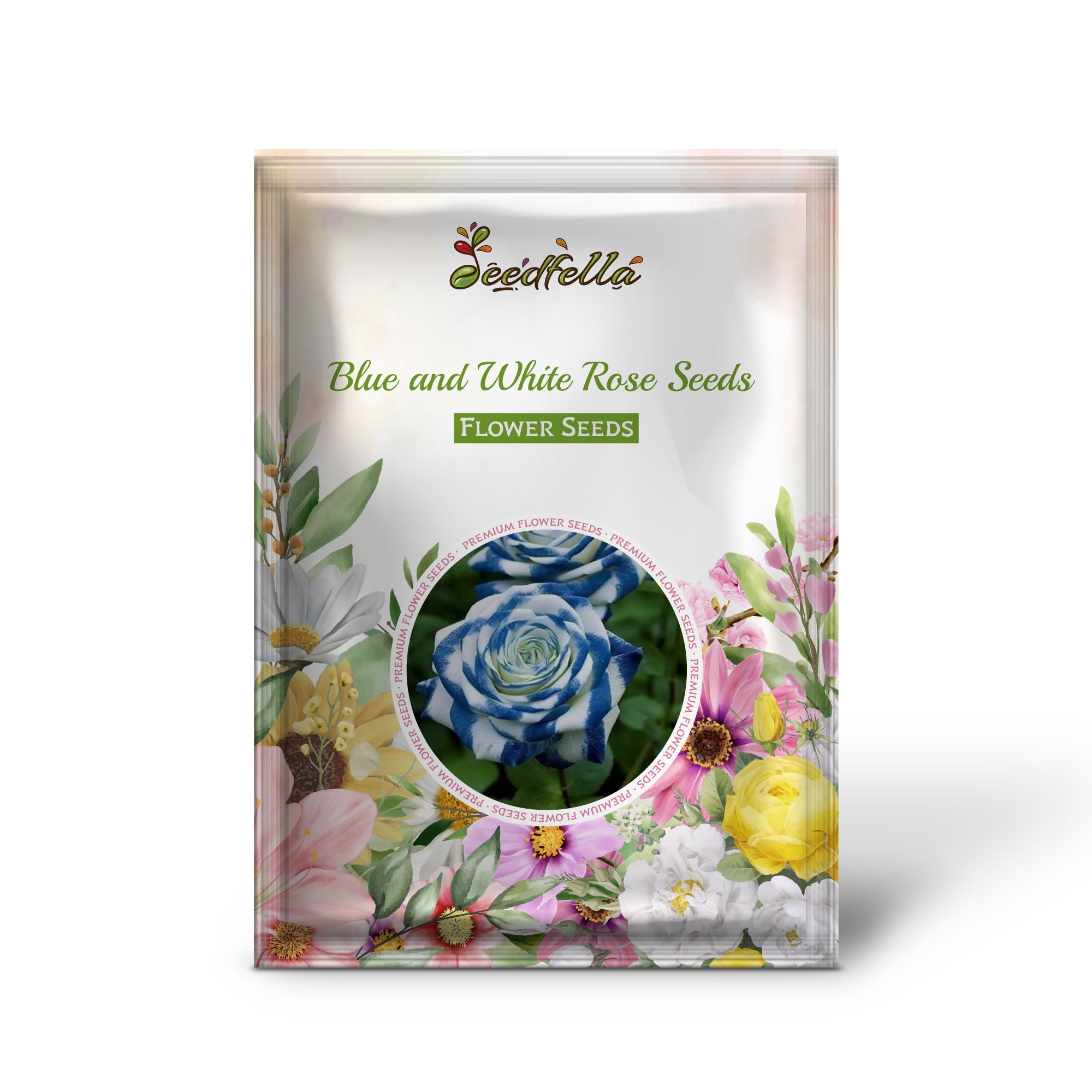 Bi-Color Blue White Rose Seeds for Vibrant Garden Planting