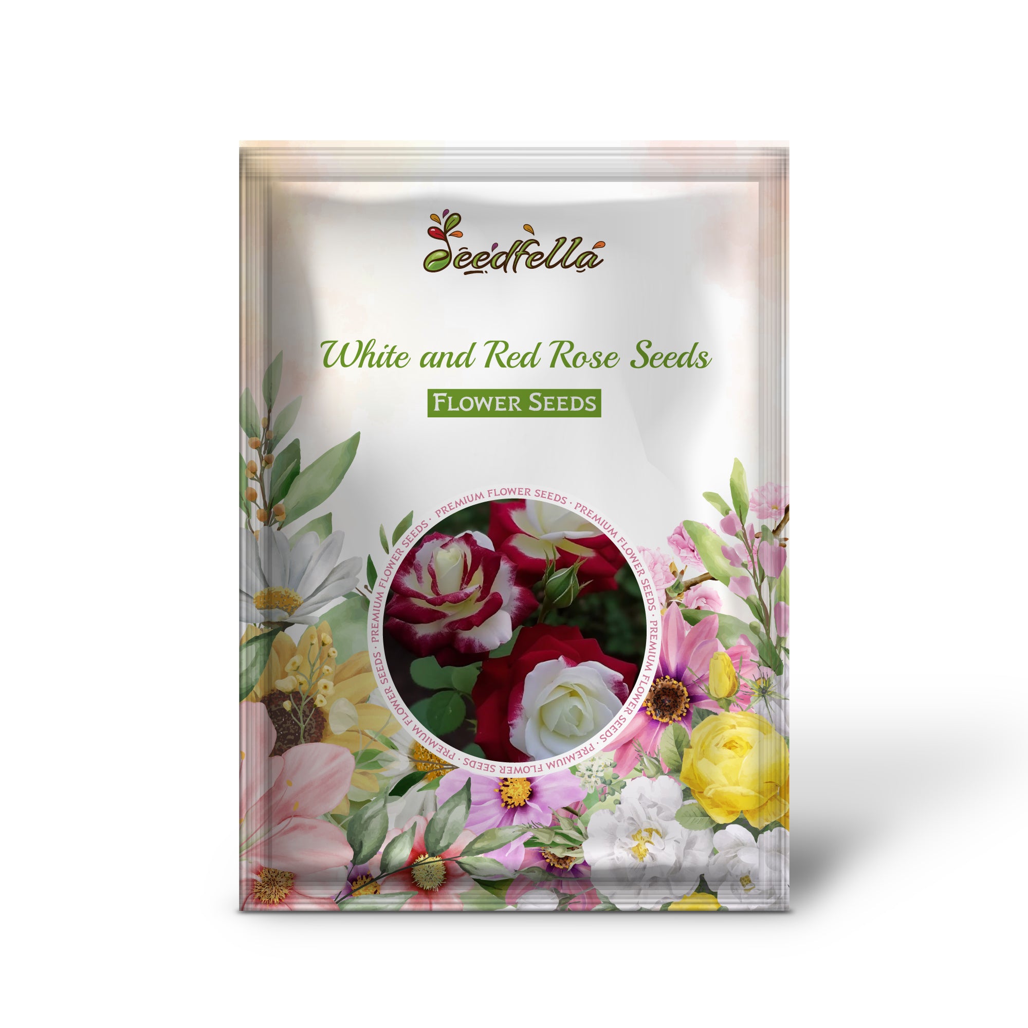 Bi-Color White Red Rose Seeds for Vibrant Garden Planting
