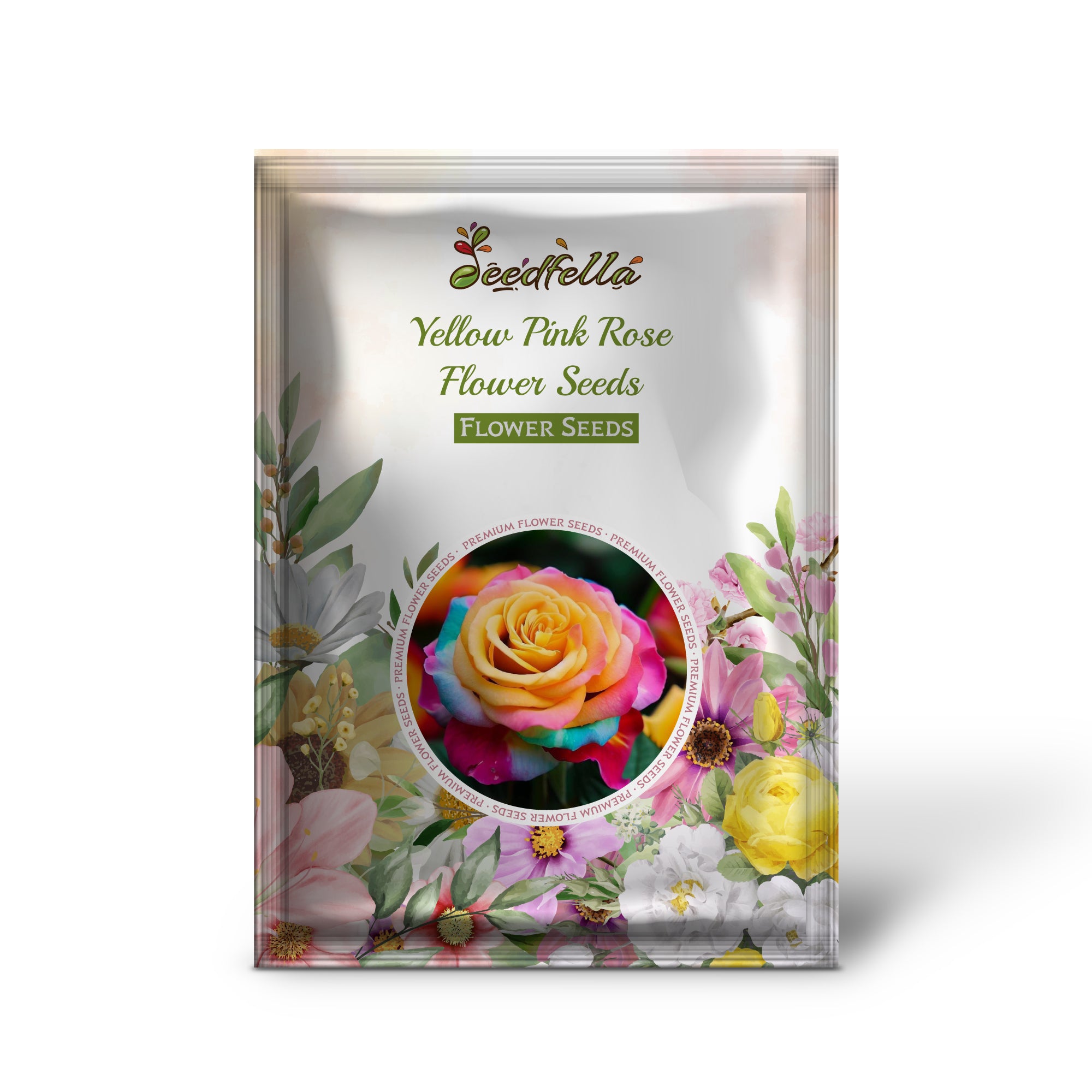 Bi-Color Yellow and Pink Roses in Bloom