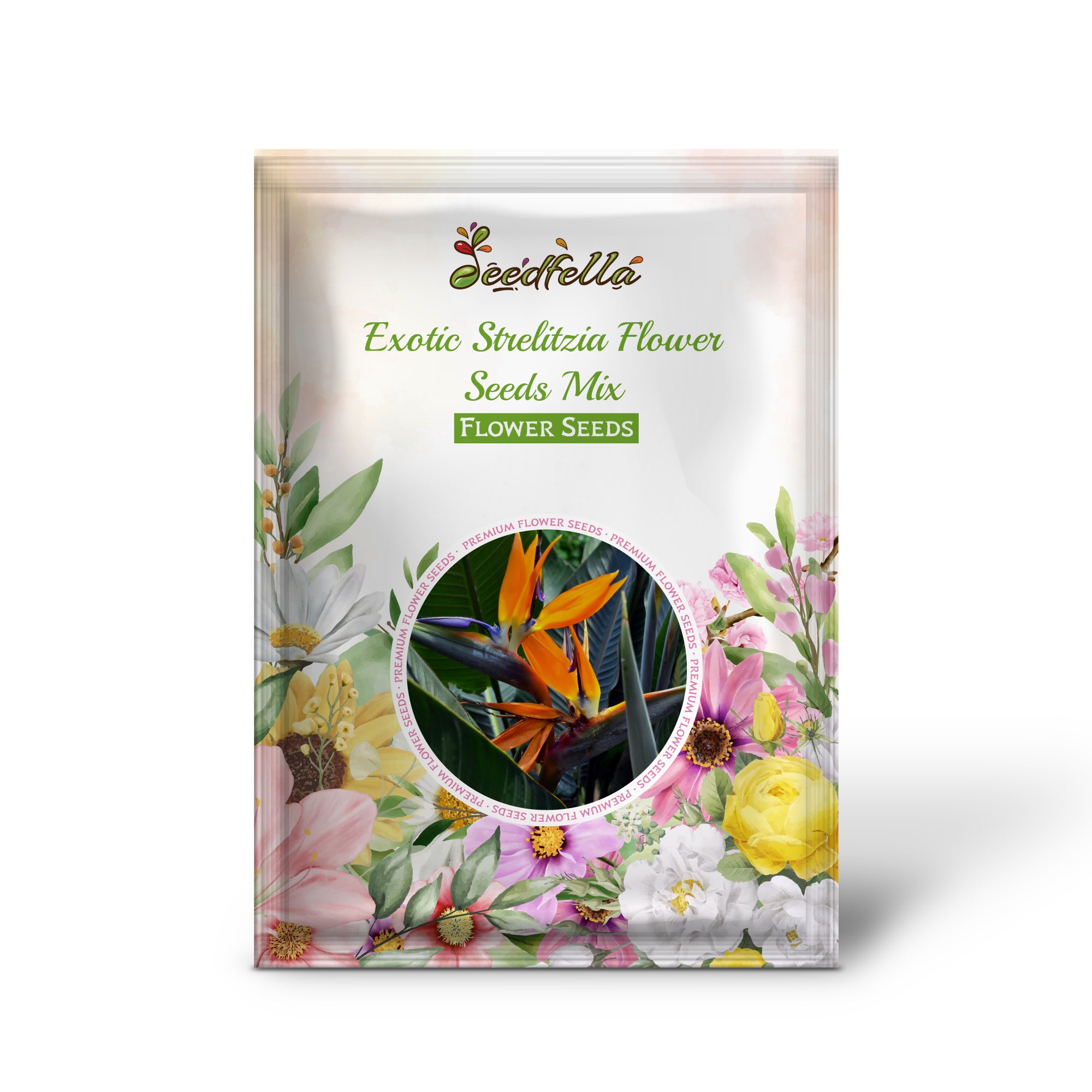 Bird of Paradise Tropical Flower Bloom