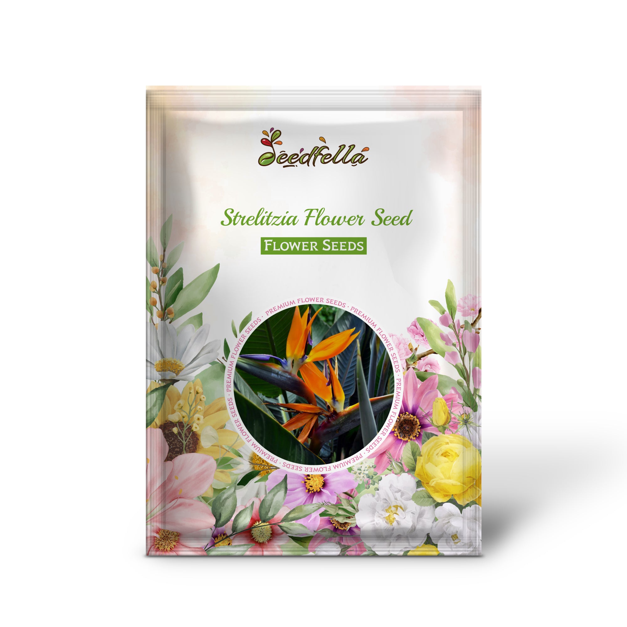 Bird of Paradise Cream and Violet Bloom