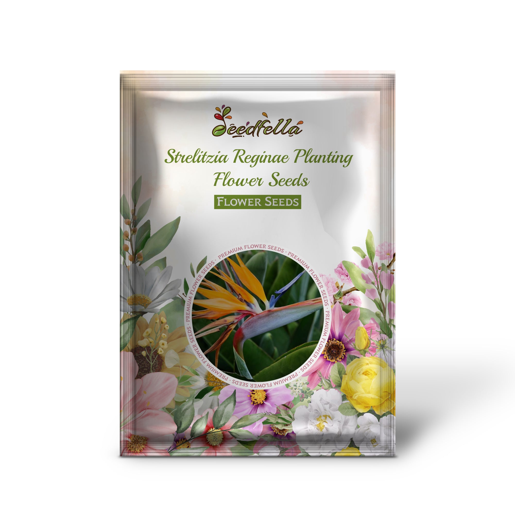 Bird of Paradise Exotic Orange and Blue Blooms