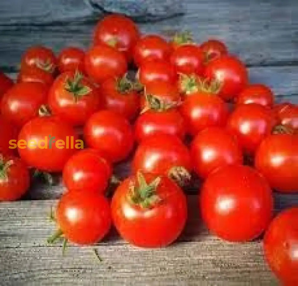 Birdie Rouge Tomato Seeds For Planting  High-Quality Heirloom Vegetable Seeds