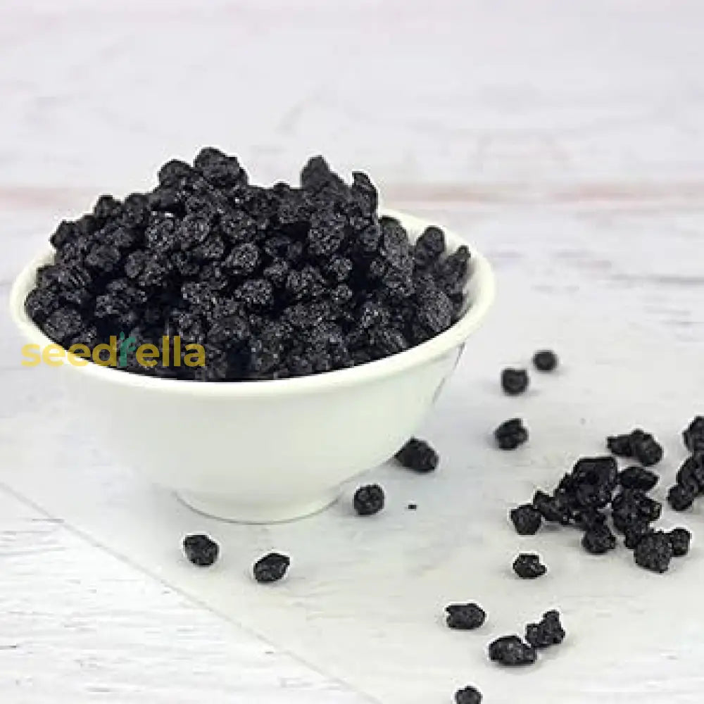 Black Currant Plant Seeds for High-Yield Berry Bushes