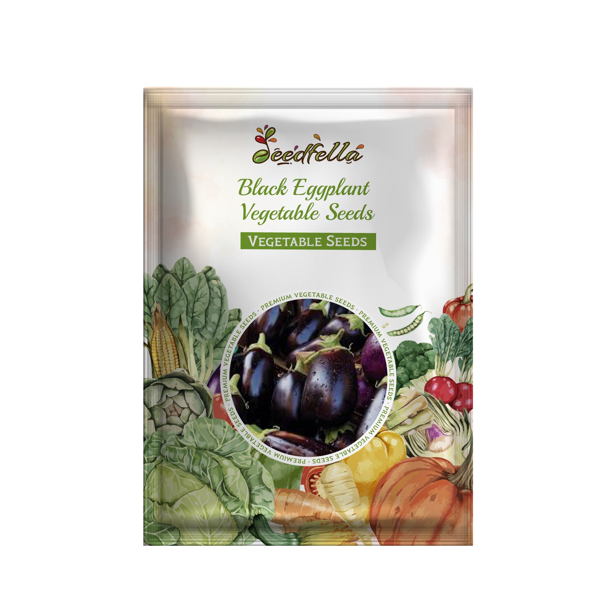 Black Eggplant plants growing in a garden