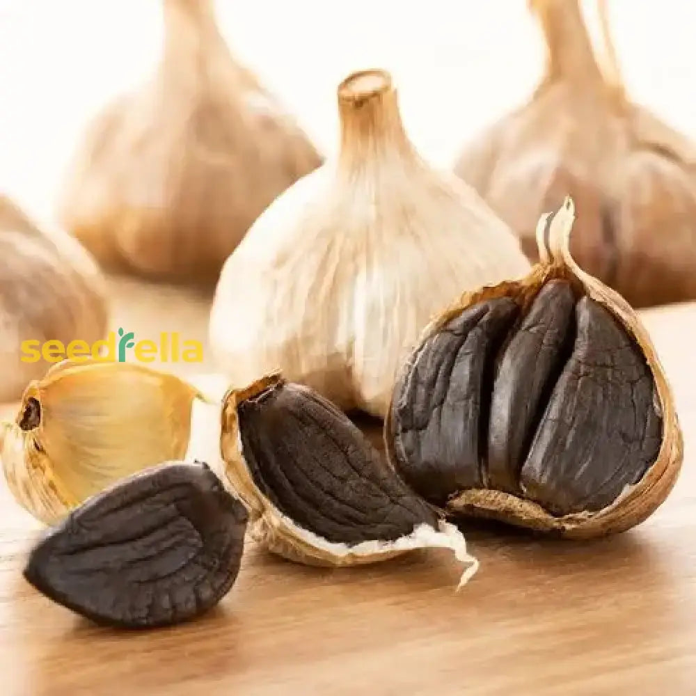 Black Garlic Vegetable Seeds For Easy Planting Seeds