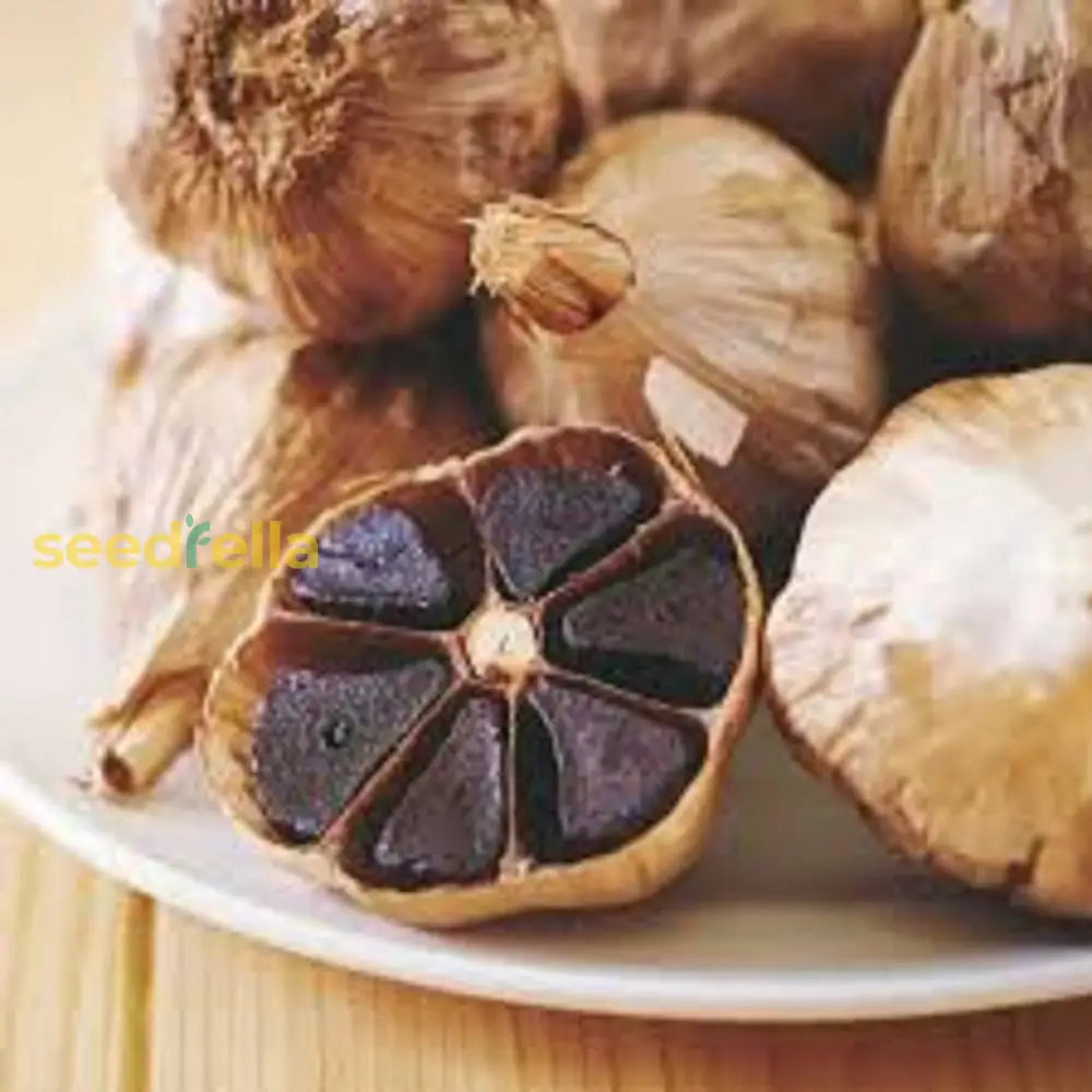 Black Garlic Vegetable Seeds For Planting Seeds