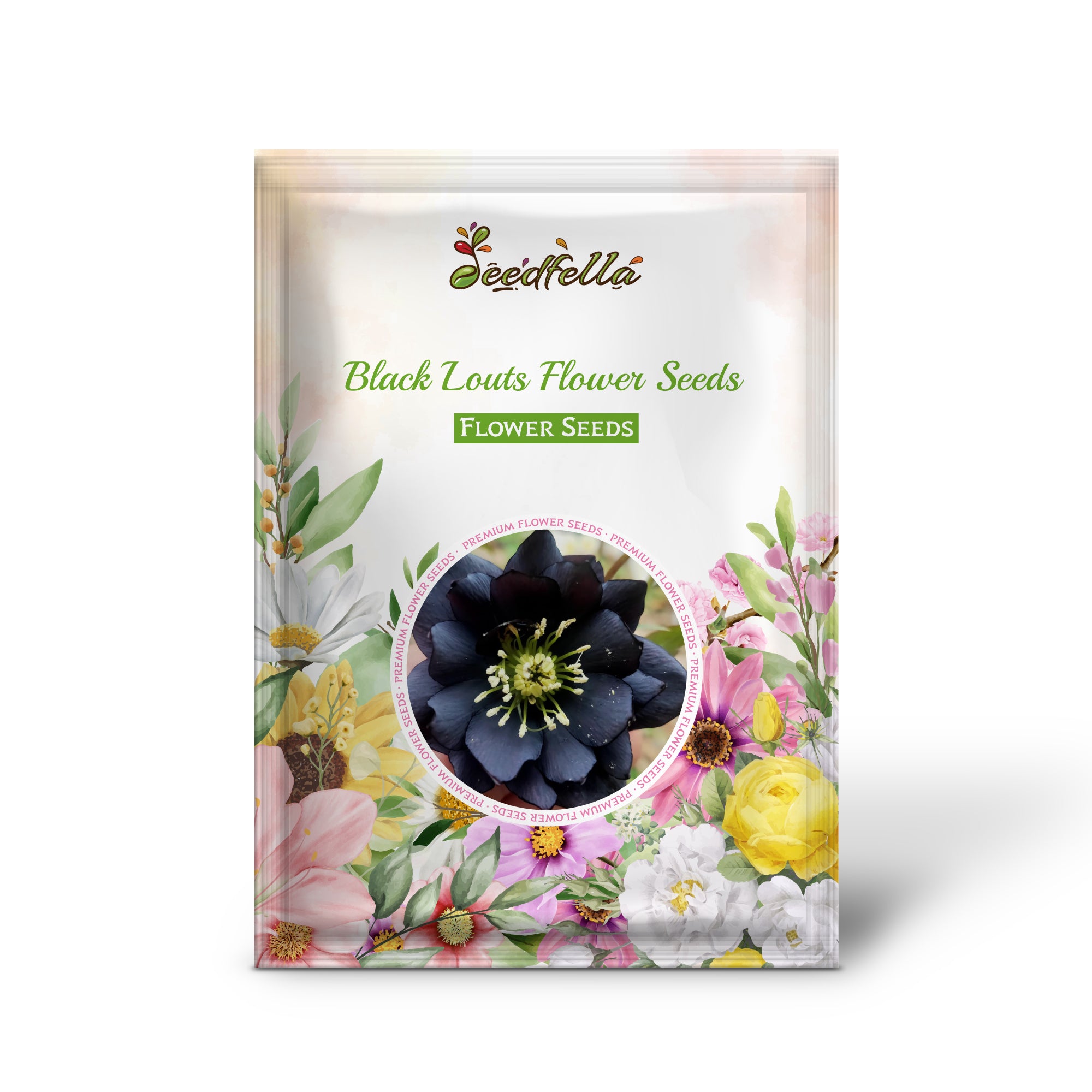 Black Lotus flower in full bloom