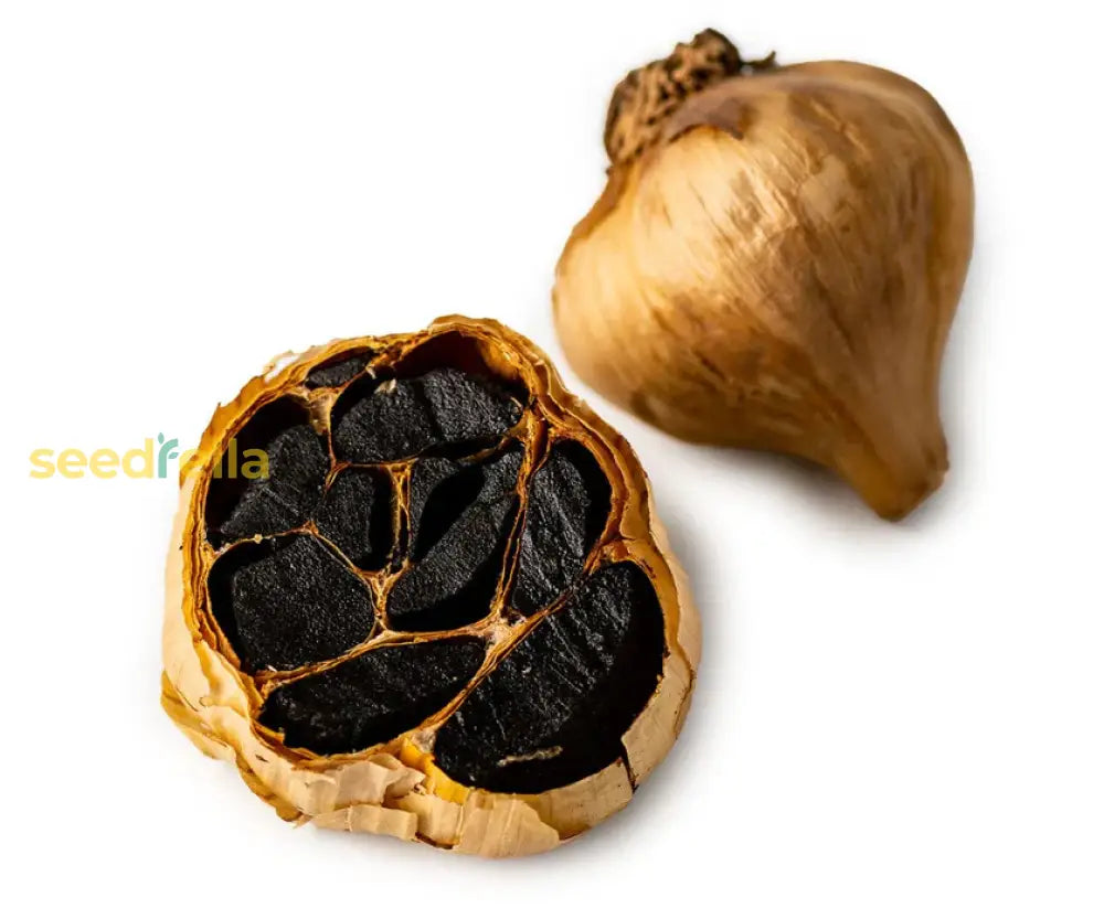 Black Orange Garlic Vegetable Seeds For Planting Seeds