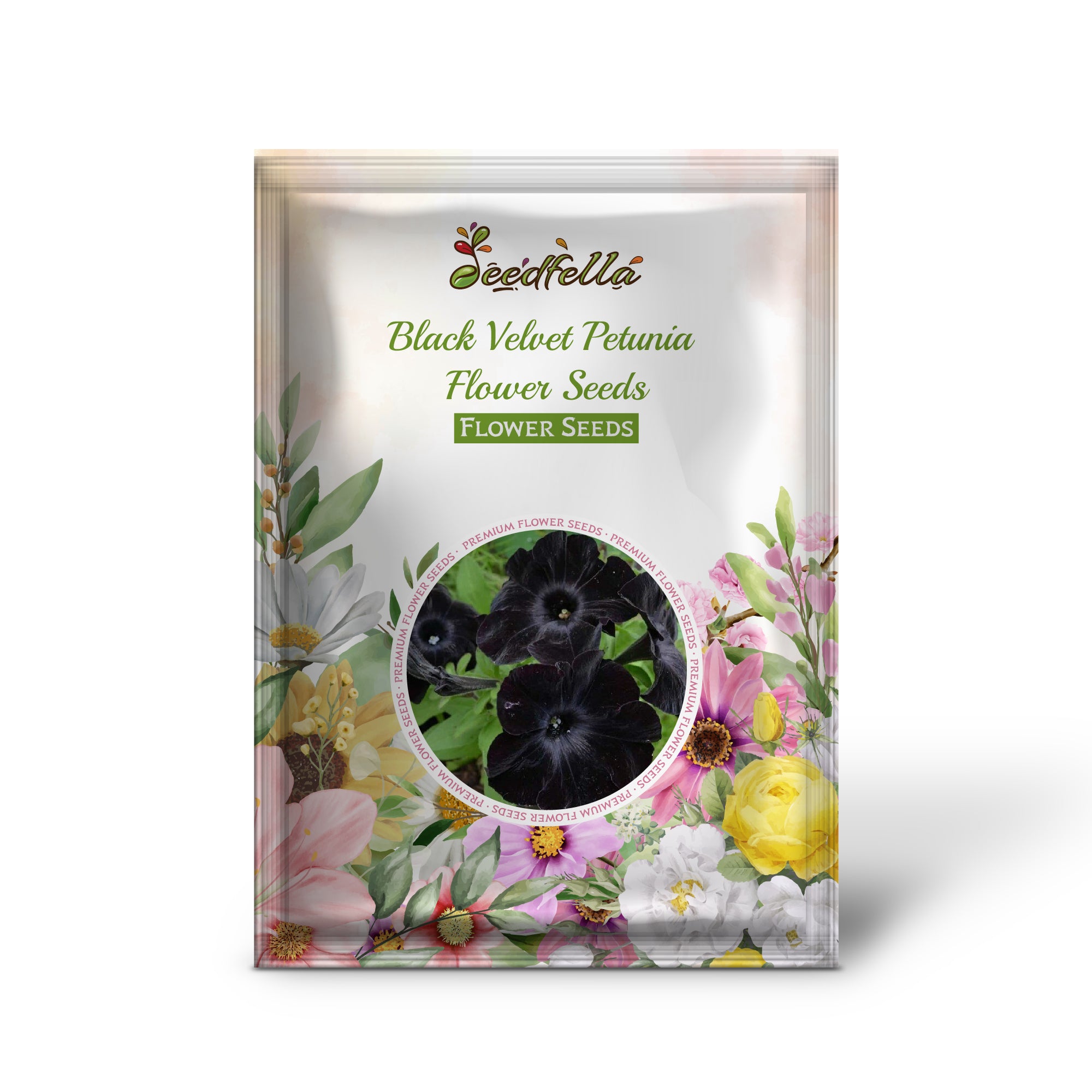 Deep Black Velvet Petunia Blooms Close-Up