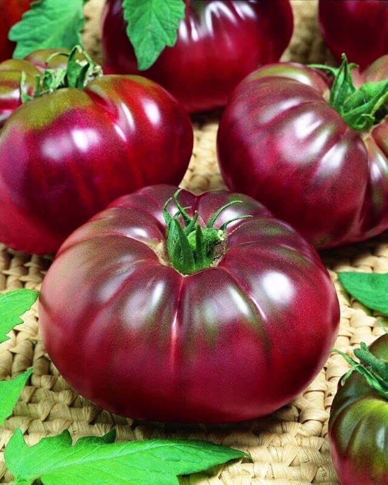 High quality Black Red Tomato seeds closeup