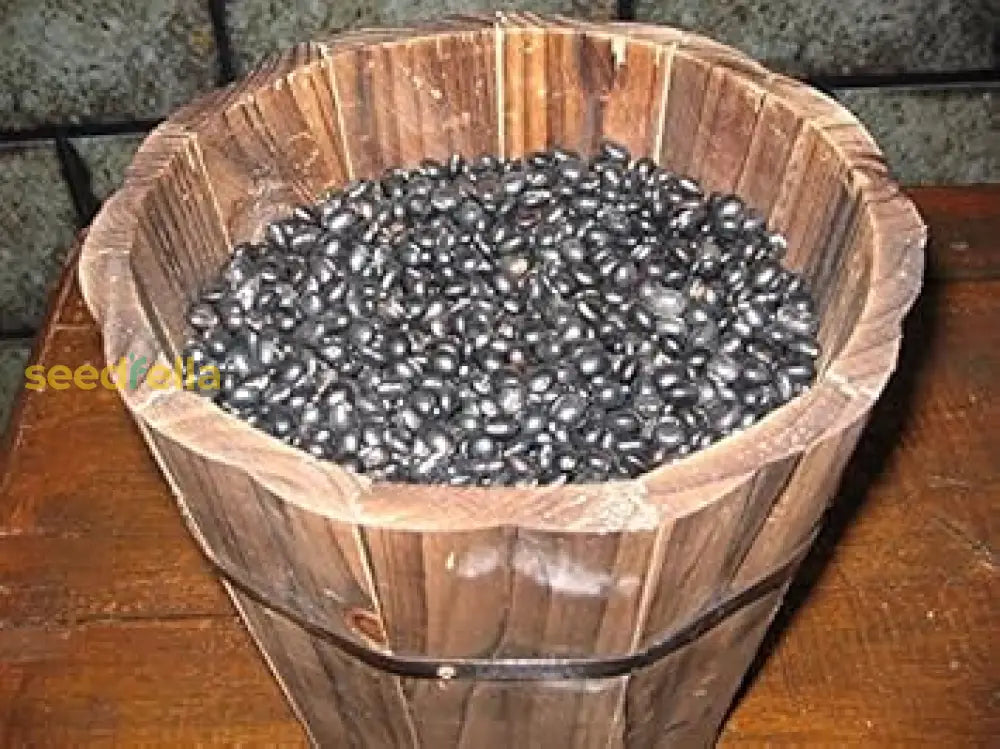 Black Soybean Planting Seeds  Organic Vegetable Seeds