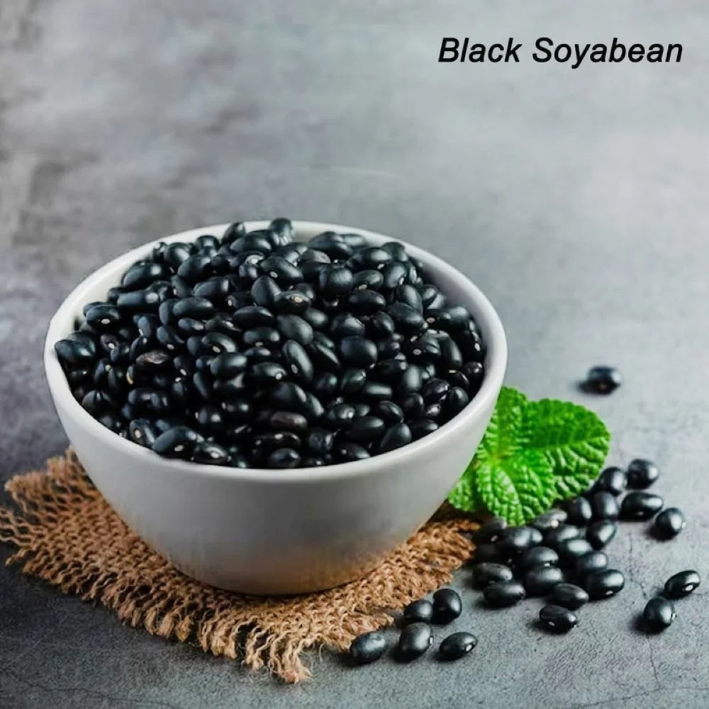 Black Soybean seeds for planting