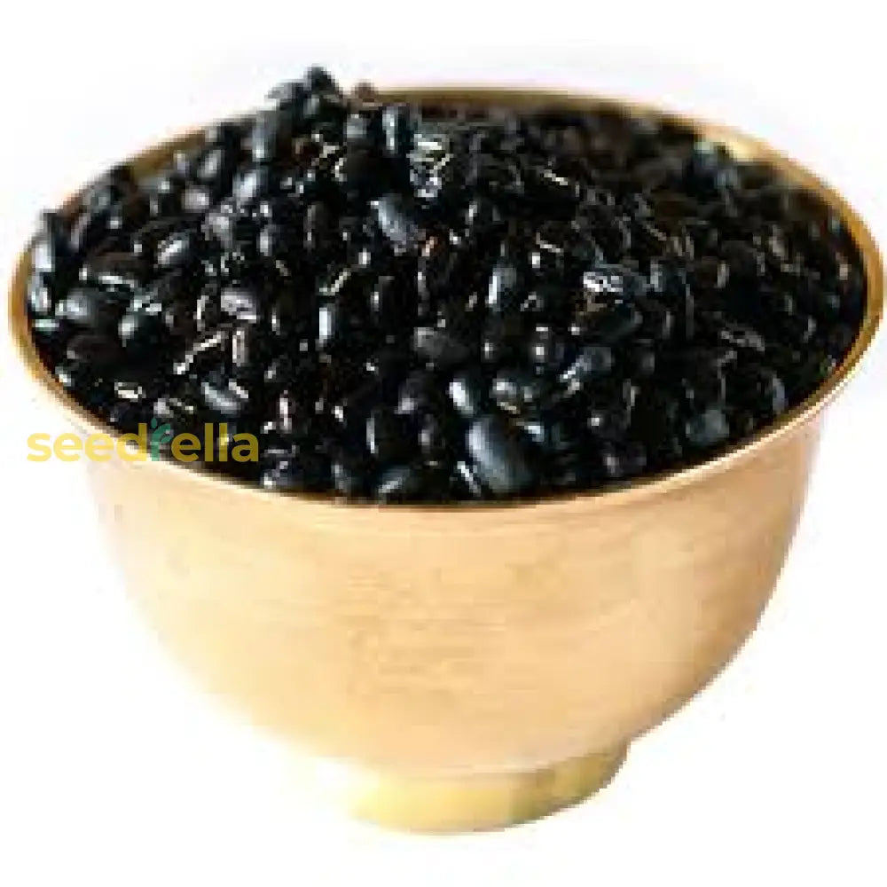 Black Turtle Bean Seeds For Planting  Premium Vegetable Seeds