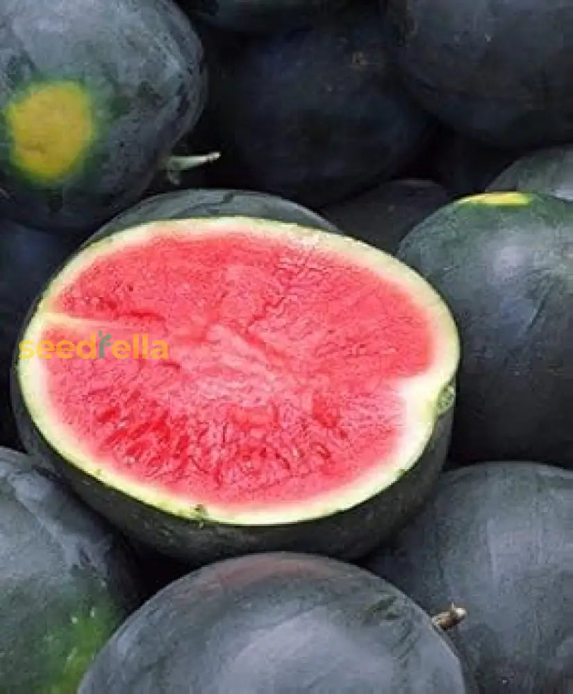 Black Watermelon with Sweet Red Flesh