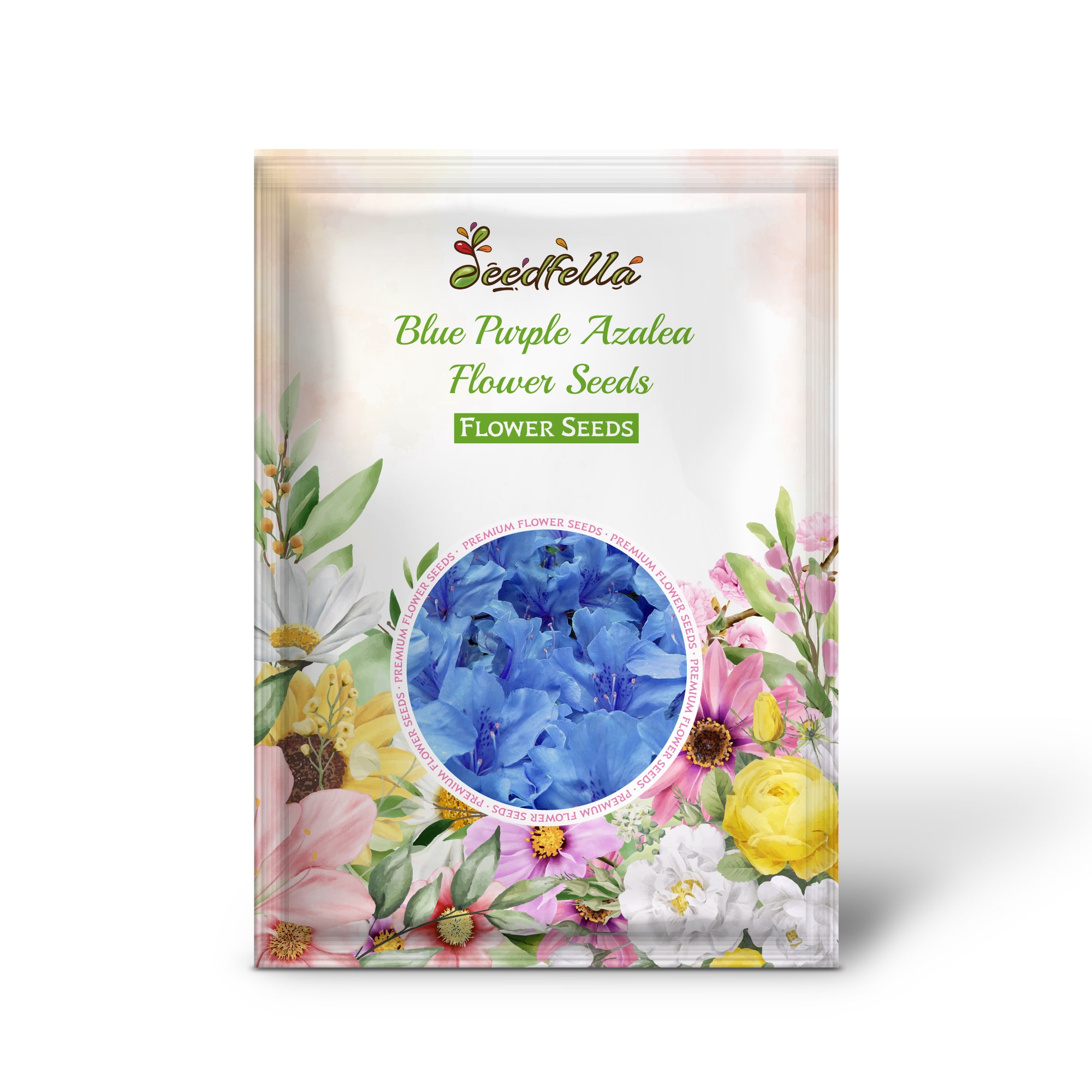 Blooming Blue Purple Azalea Flowers in Garden