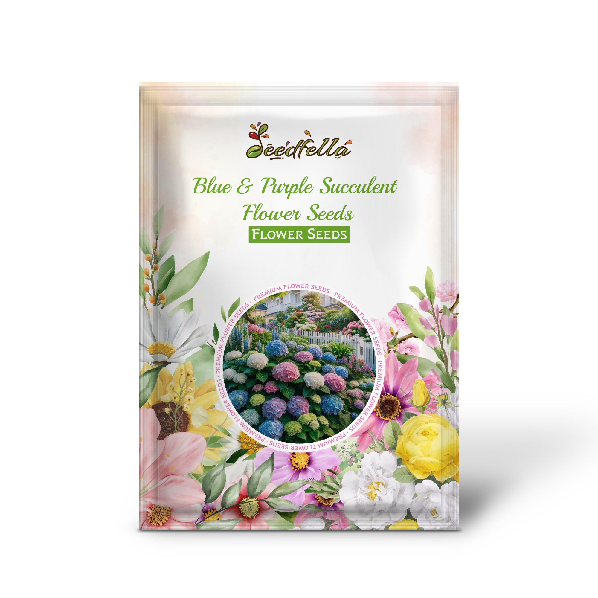 Blooming Blue & Purple Succulent Flowers in Garden