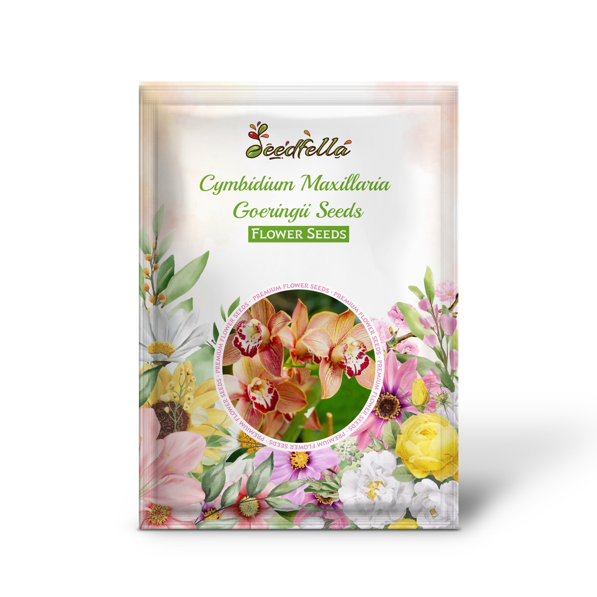 Blooming Cymbidium Maxillaria Goeringii Mixed Orchid Flowers