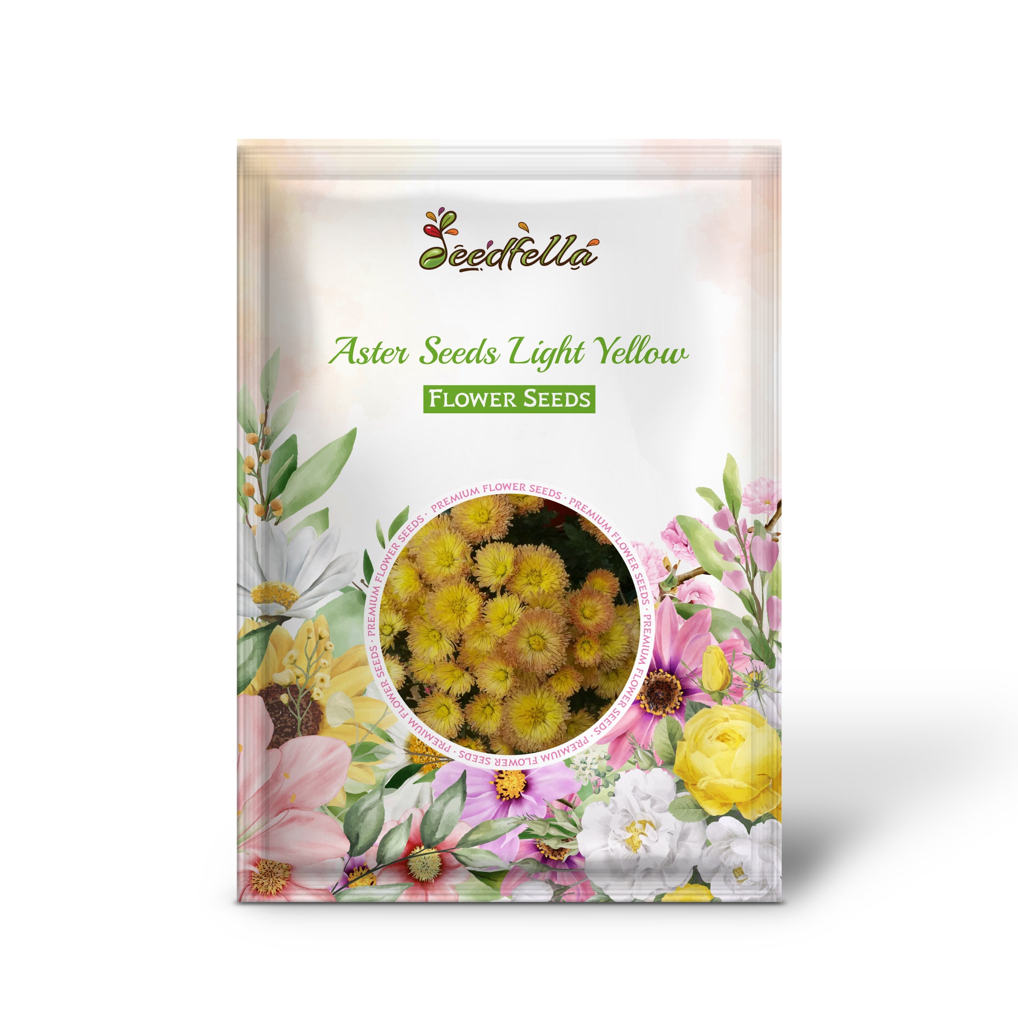 Blooming Light Yellow Aster Flowers in Garden