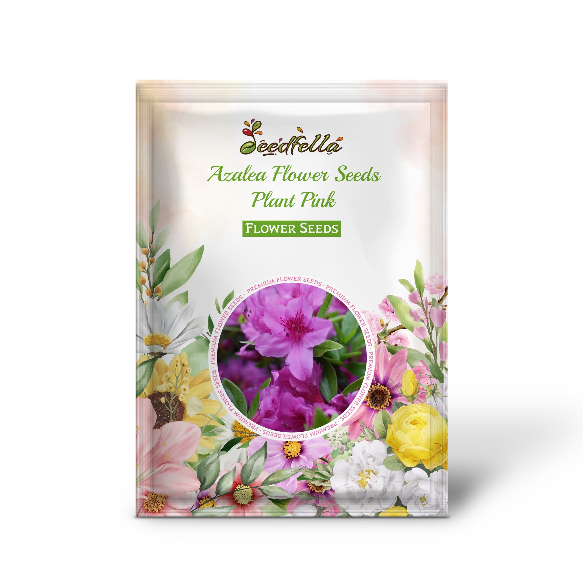 Blooming Pink Azalea Flowers in Garden