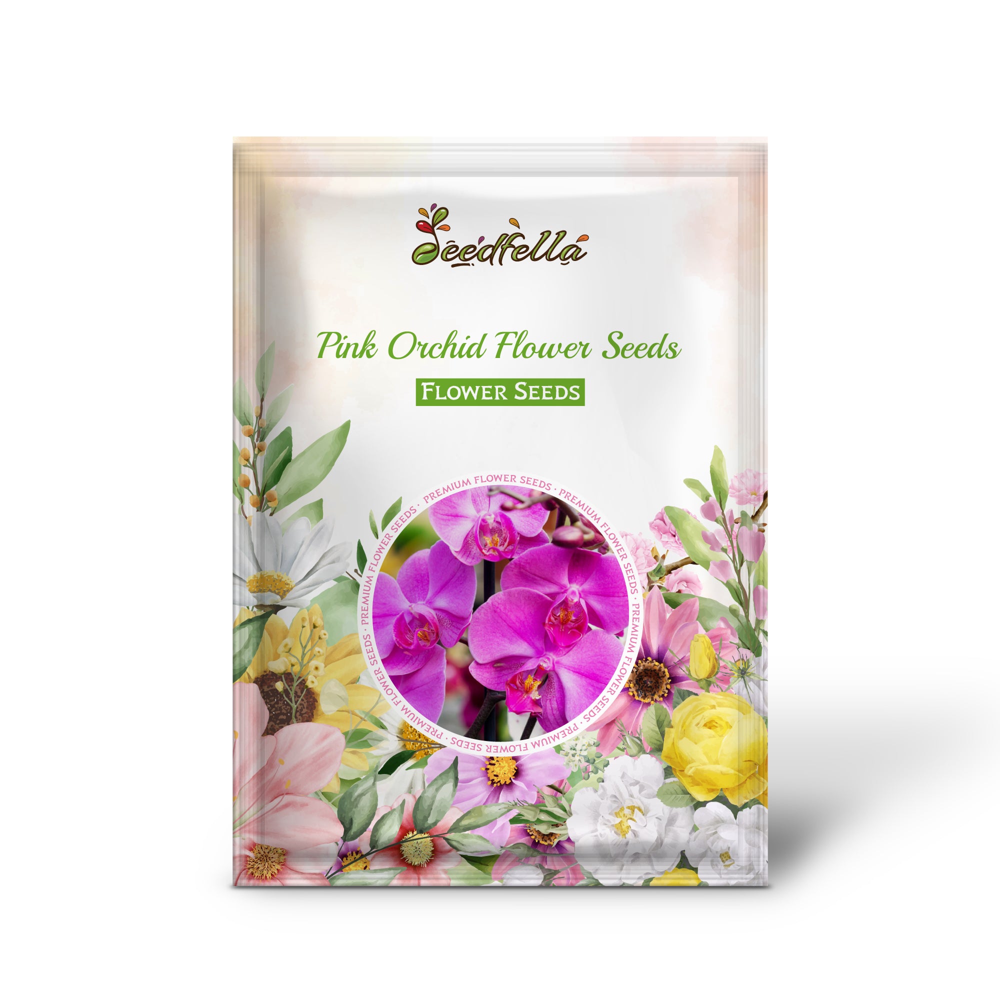 Blooming Pink Orchid Flowers in Pots