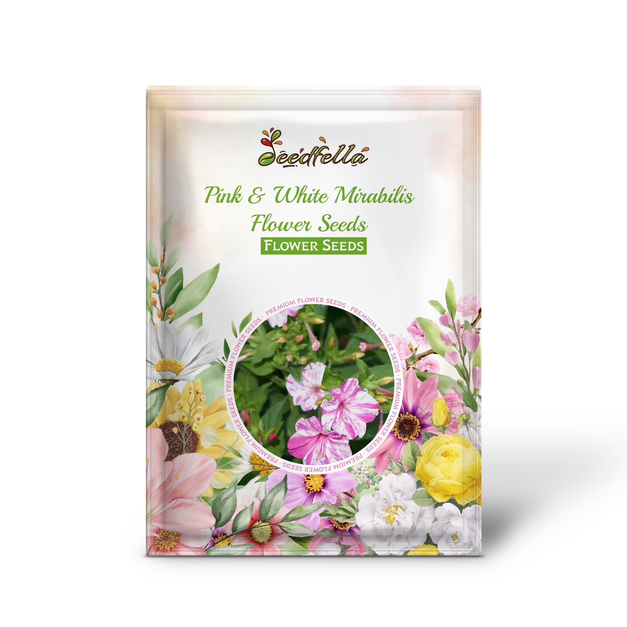 Blooming Pink & White Mirabilis Flowers in Garden