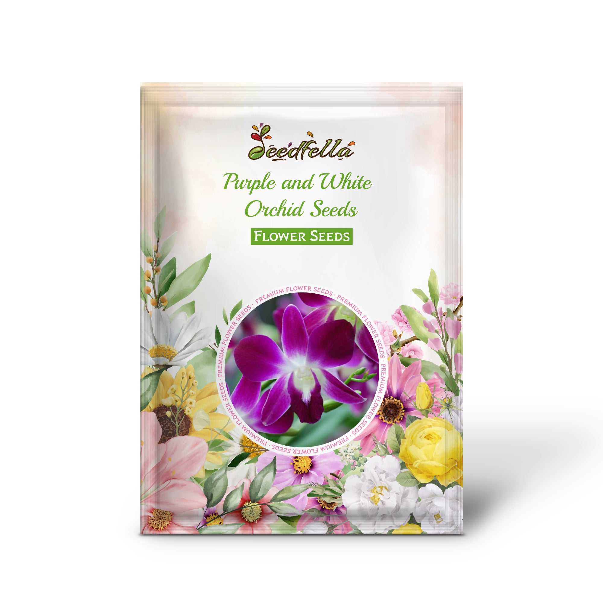 Blooming Purple & White Orchid Flowers in Garden