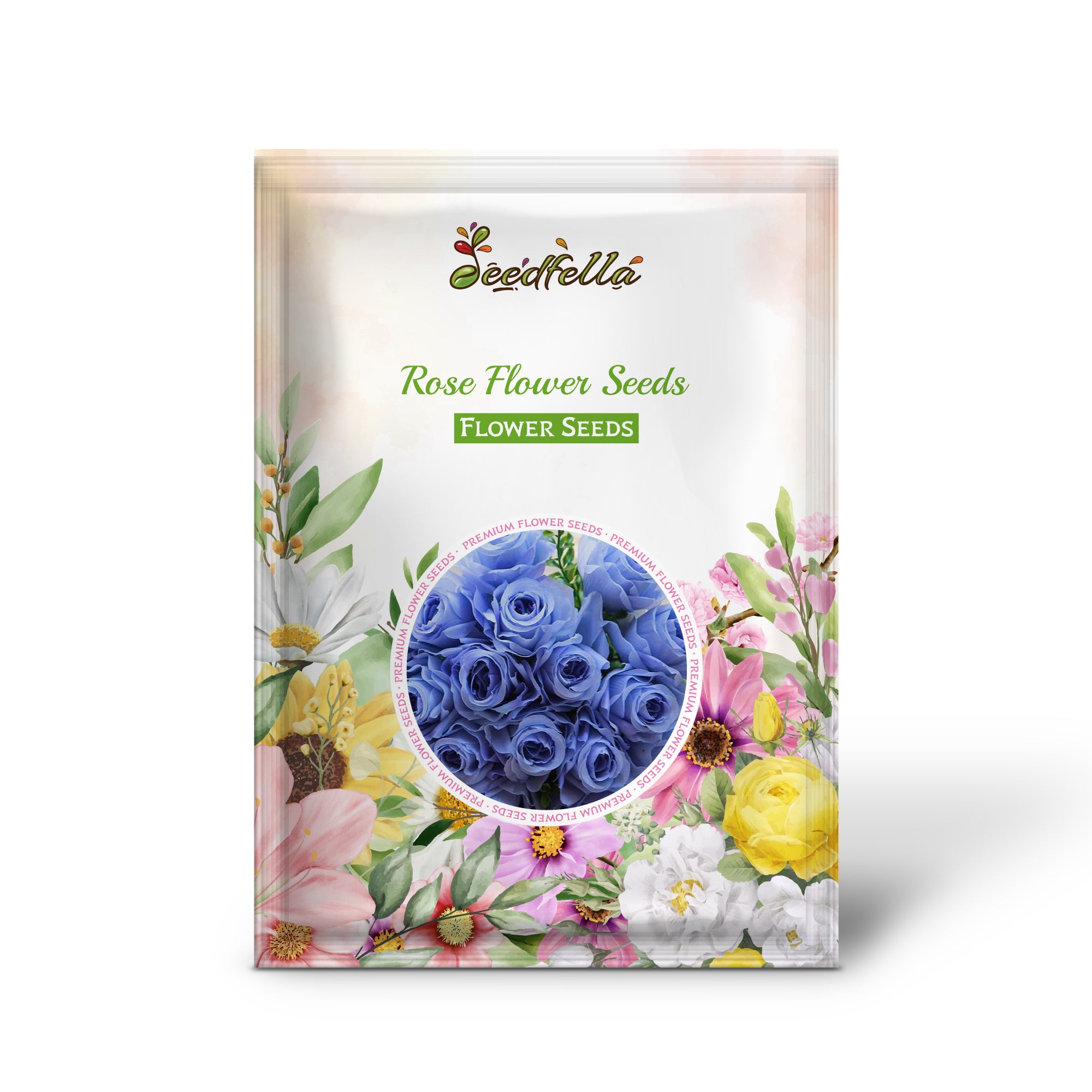 Blooming Sky Blue Grey Roses in Garden