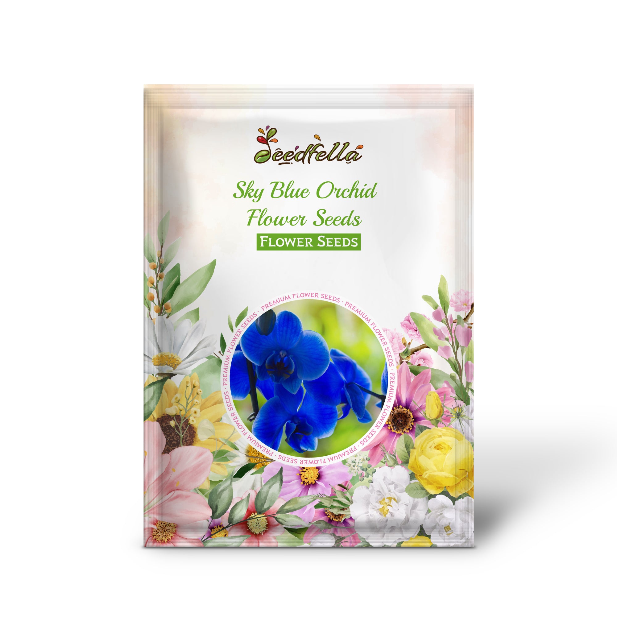 Blooming Sky Blue Orchid Flowers in Garden