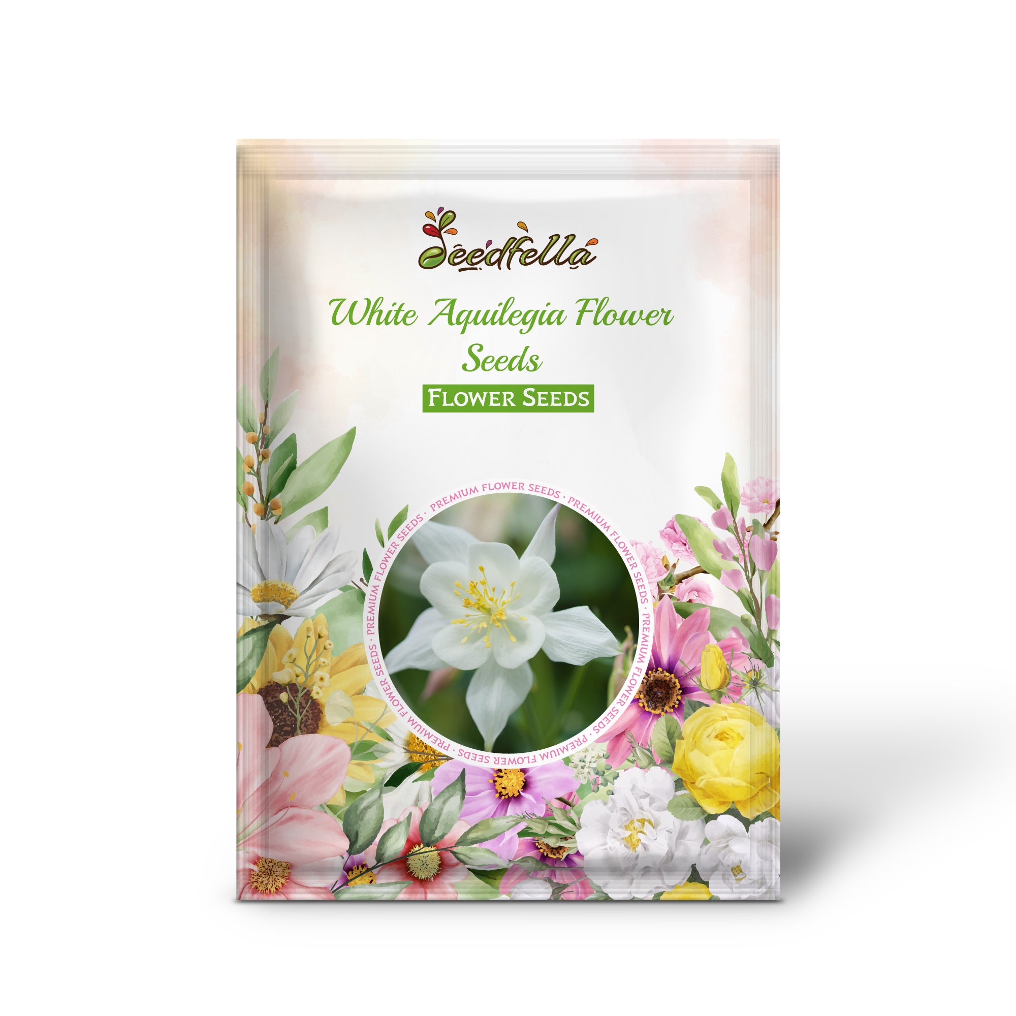 Blooming White Aquilegia Columbine Flowers