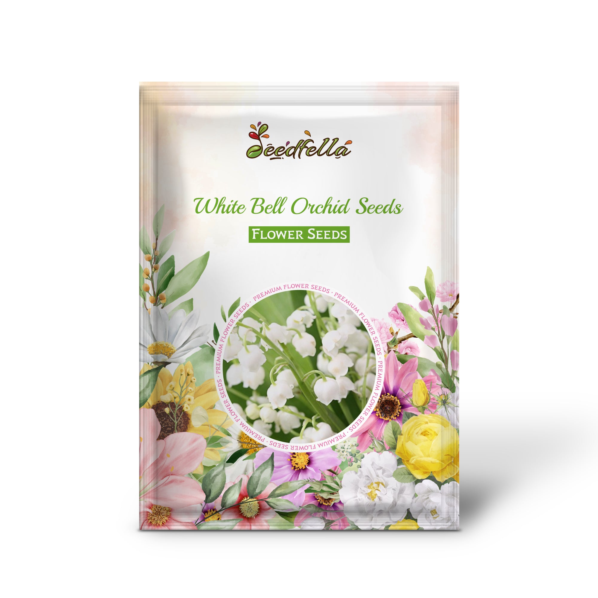 Blooming White Bell Orchid Flowers in Garden