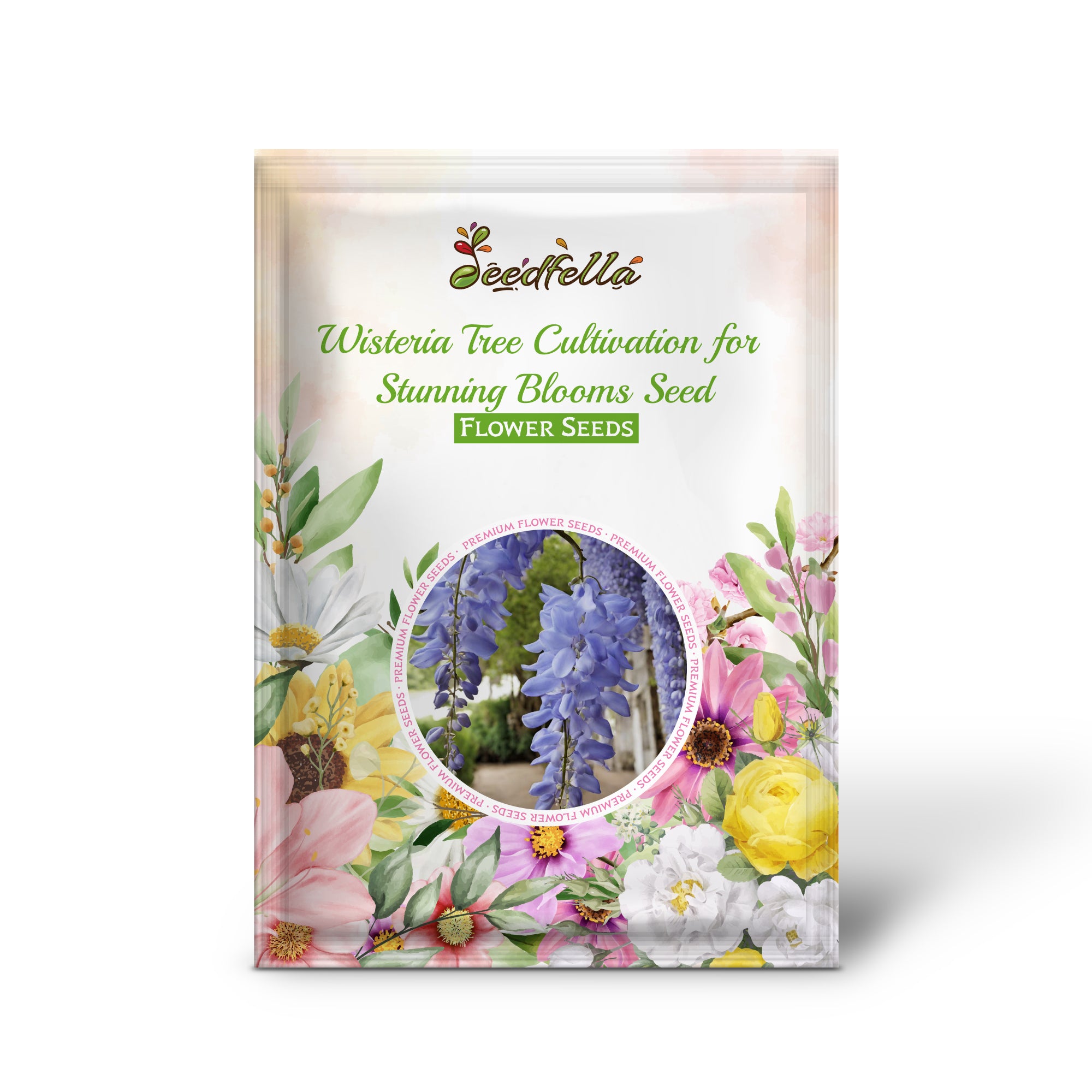 Blooming Wisteria Tree Flowers in Garden