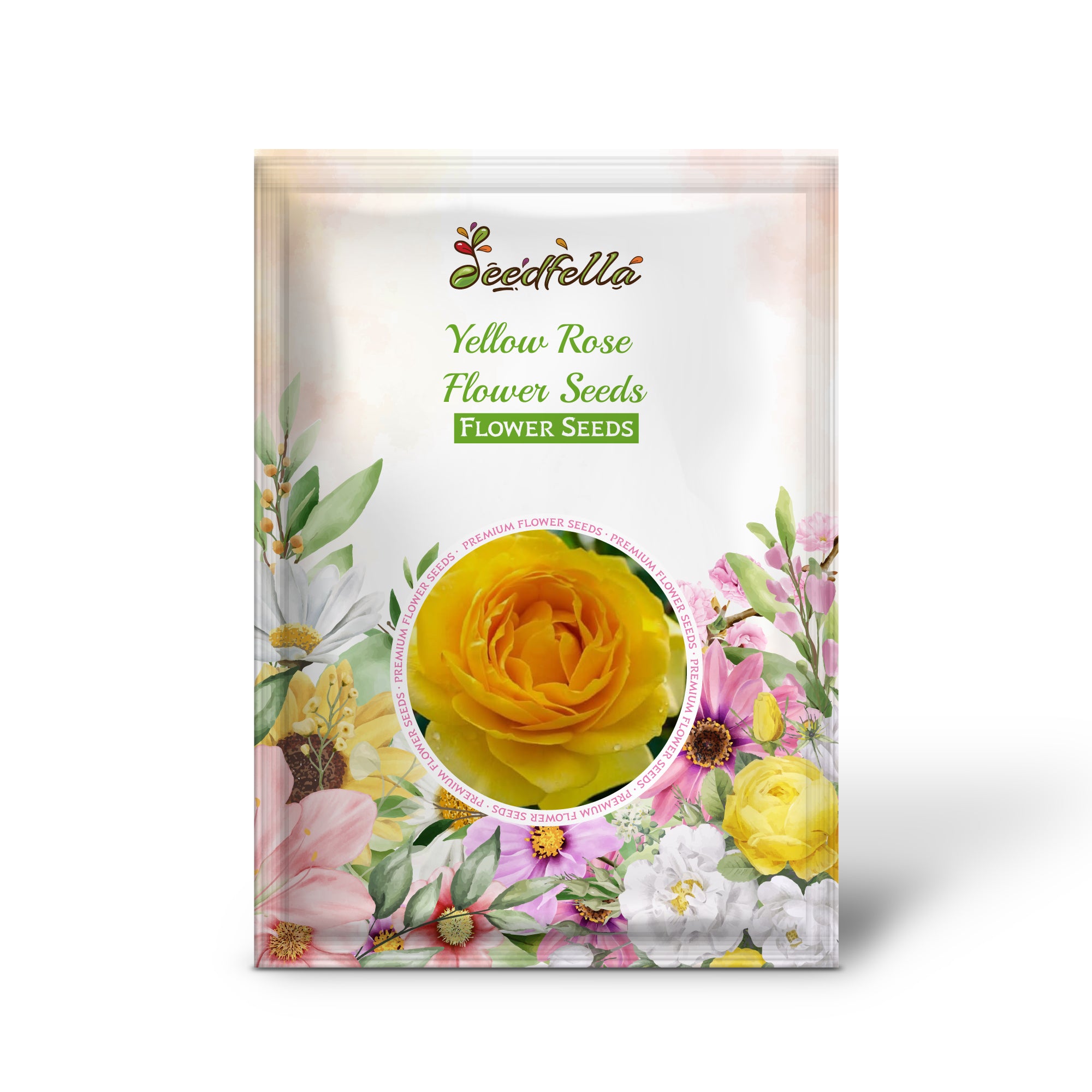 Blooming Yellow Rose Flowers in Garden