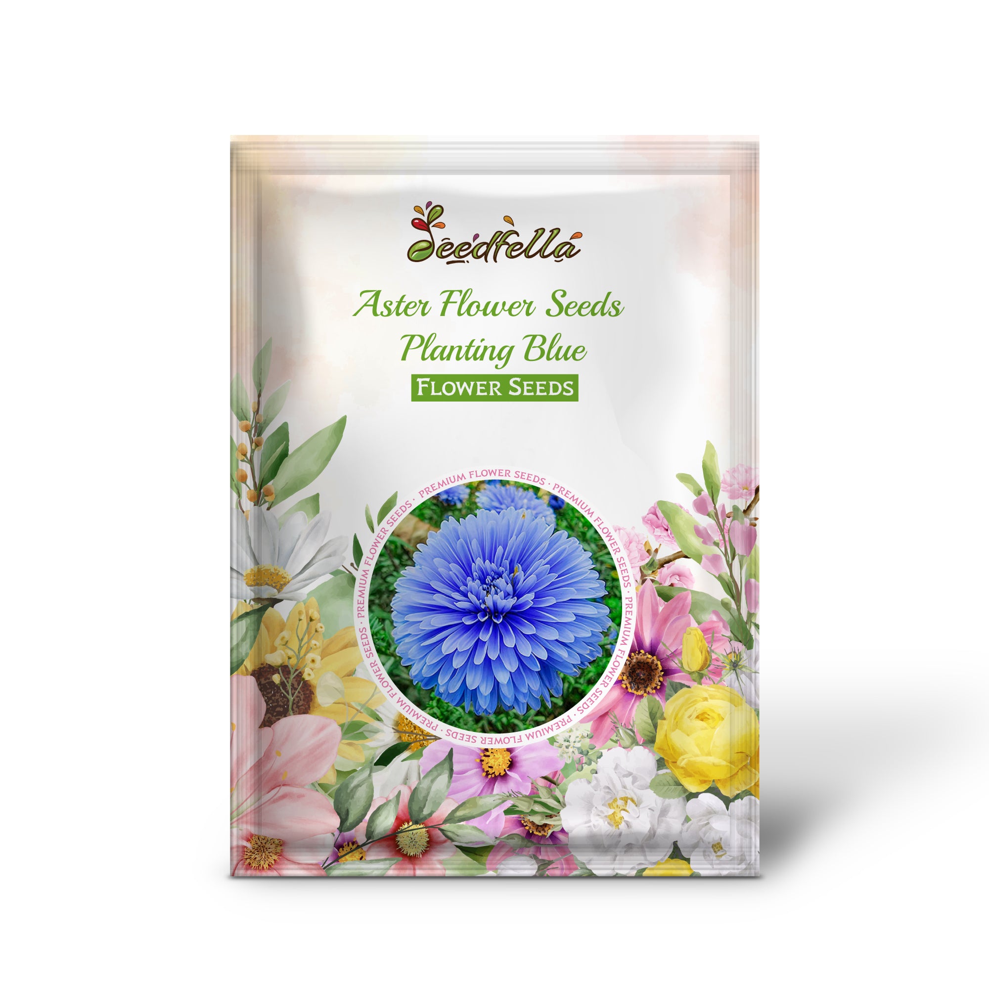 Blue Aster Flower Seeds for Planting