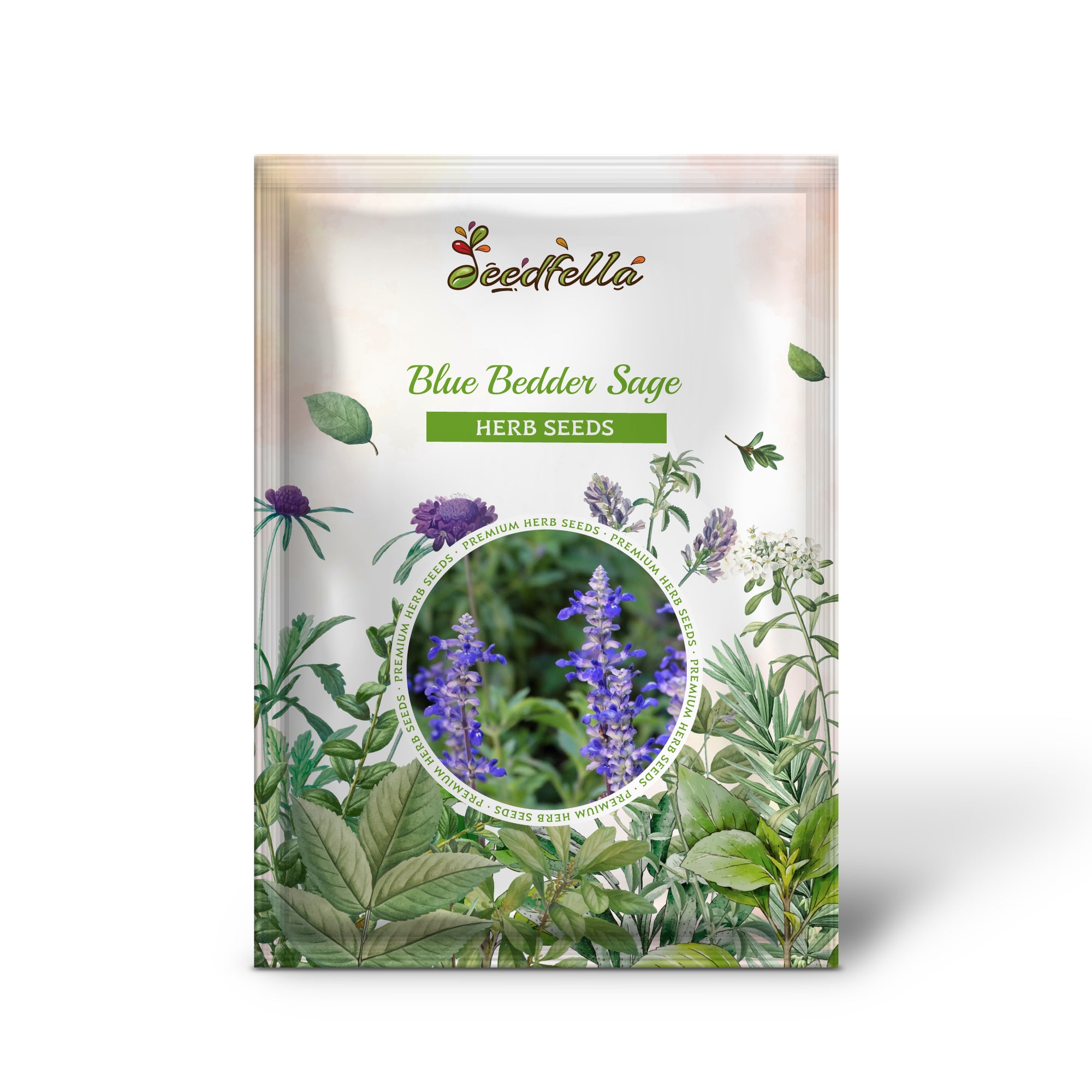 Close-Up of Blue Bedder Sage Salvia farinacea Blooming Blue Spikes