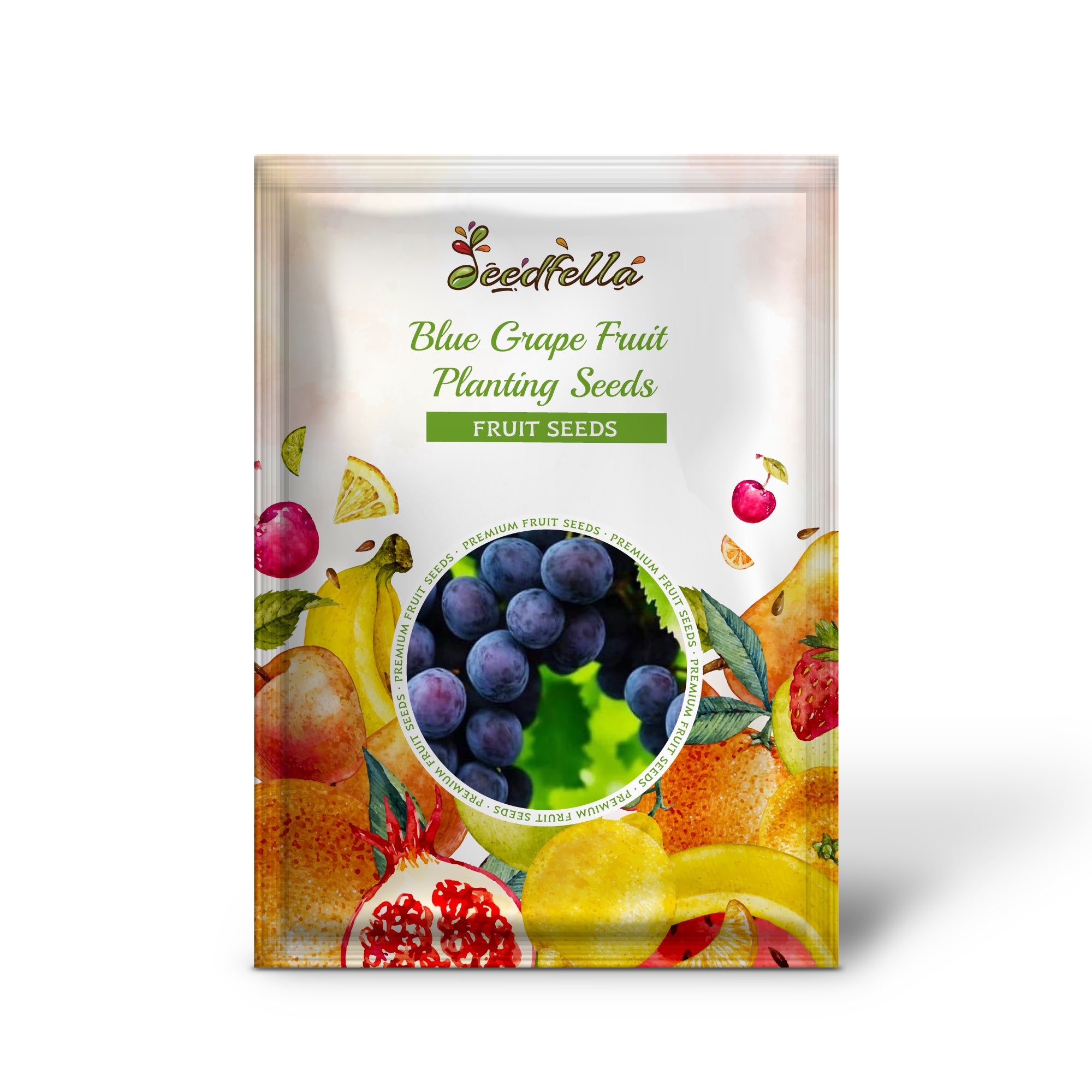 Blue Grape Vines Growing in a Home Garden