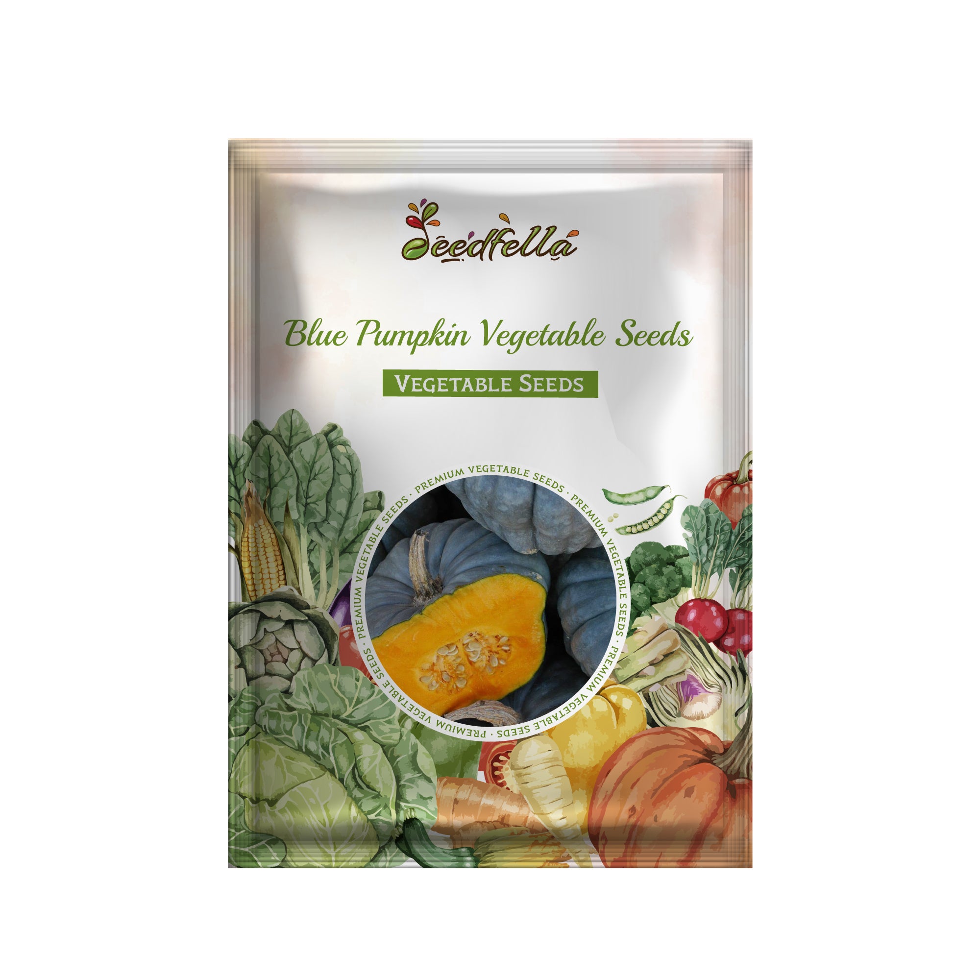 Blue pumpkin plants growing in a garden