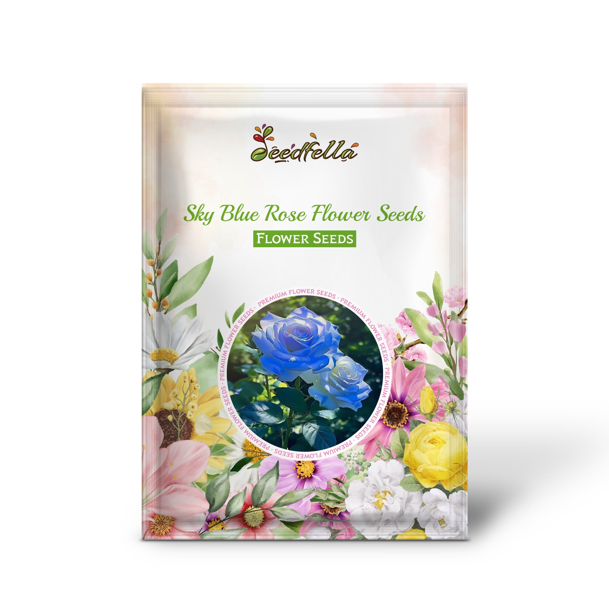 Sky Blue Rose flowers blooming beautifully in a garden