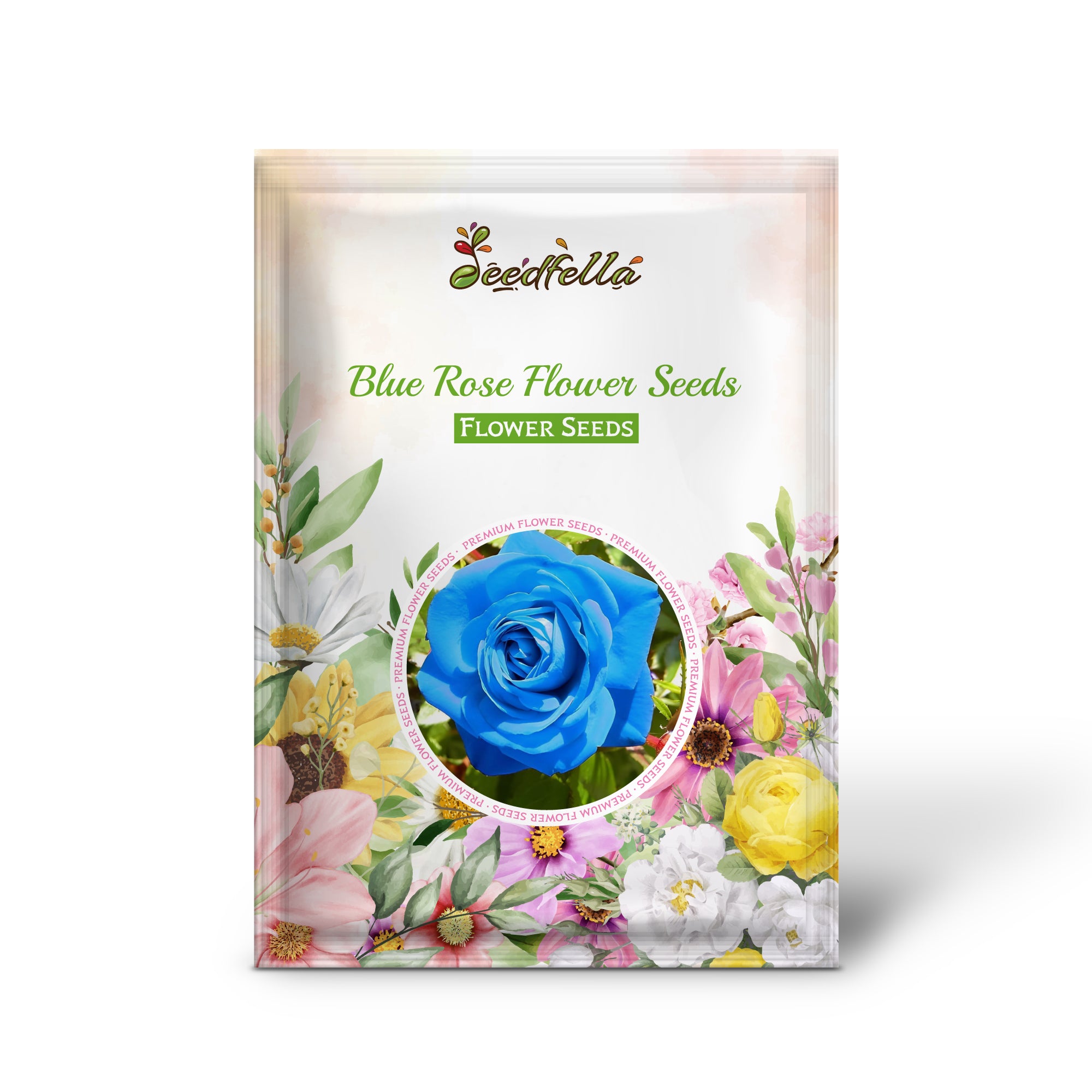 Blue rose seeds germinating seedlings