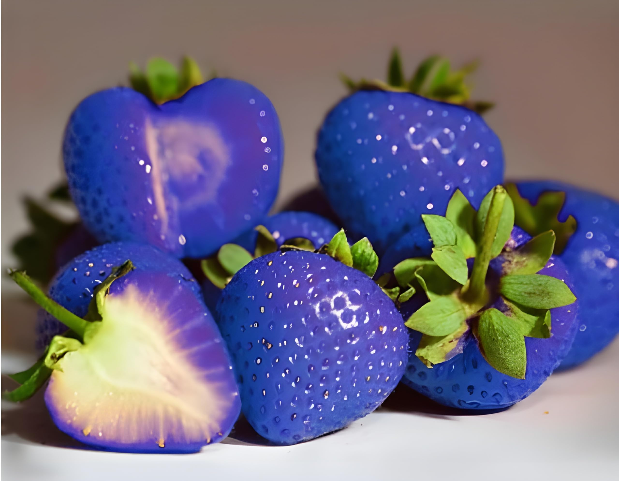 Blue strawberry plants growing in containers