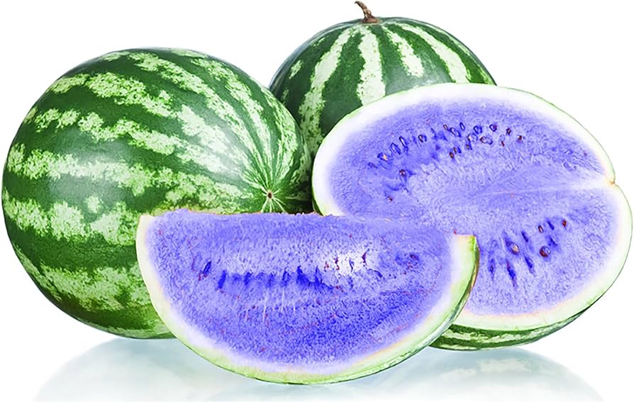 Blue watermelon seeds for planting sweet and juicy fruits