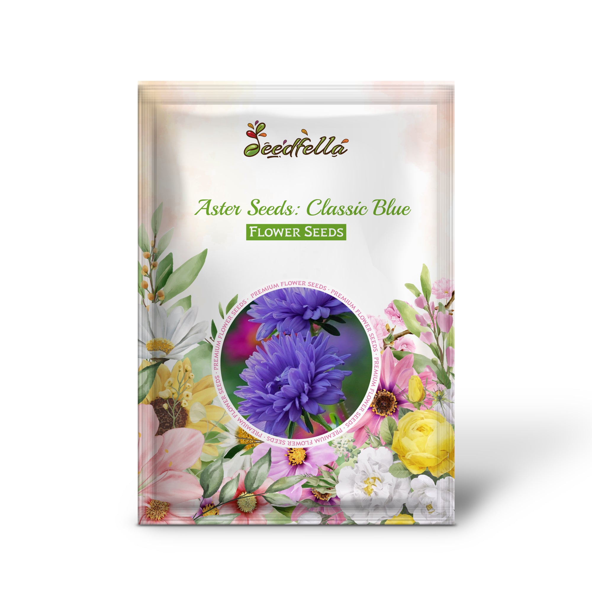 Vibrant Blue and White Aster Flowers