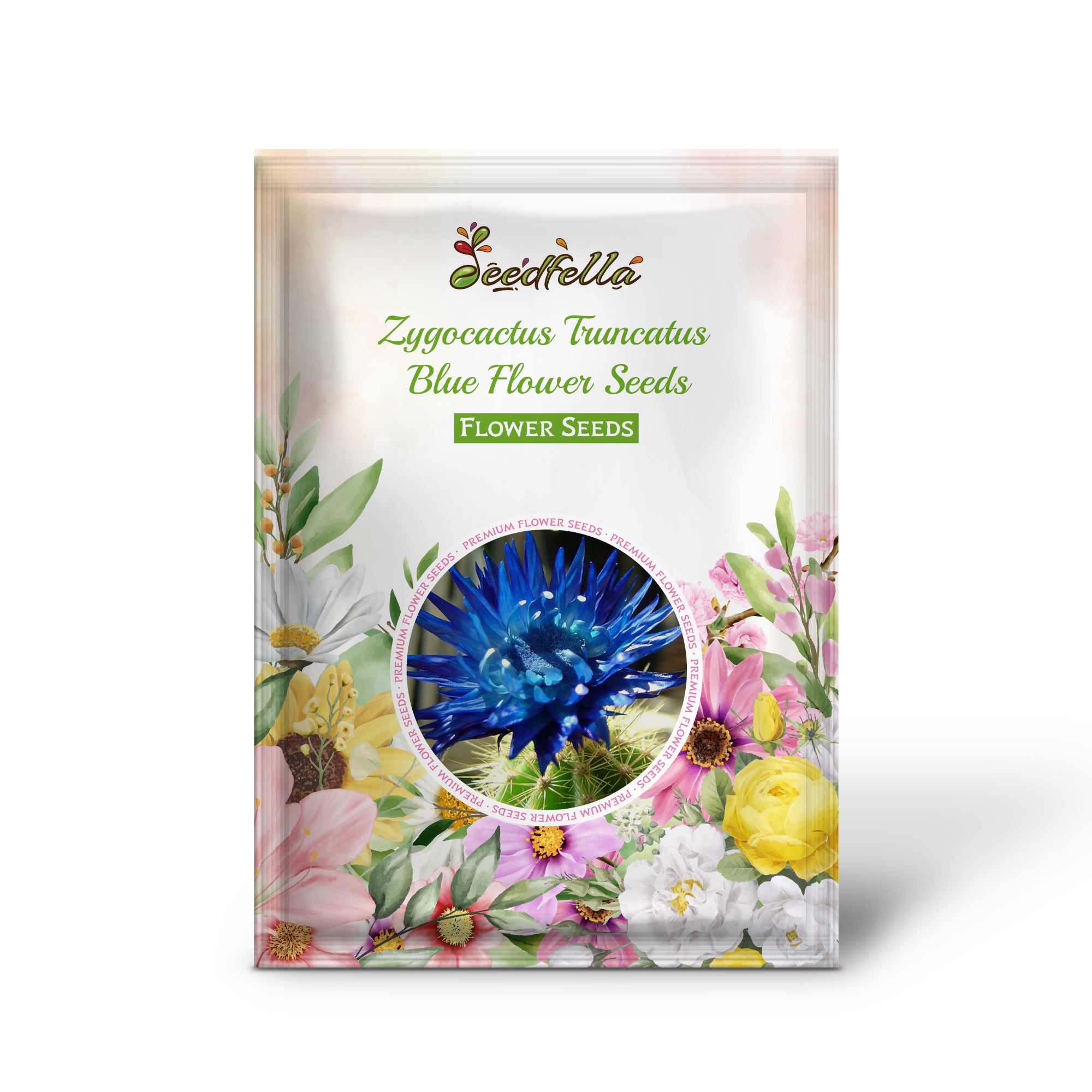 Blue Zygocactus Truncatus flowers in full bloom