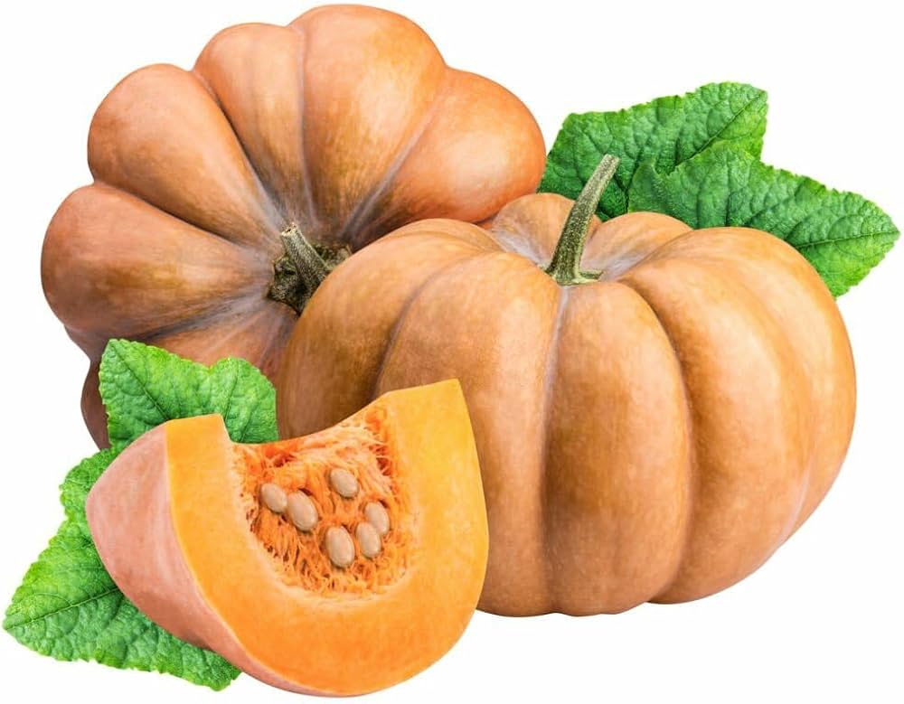 Bonsai pumpkin seeds for planting compact miniature variety