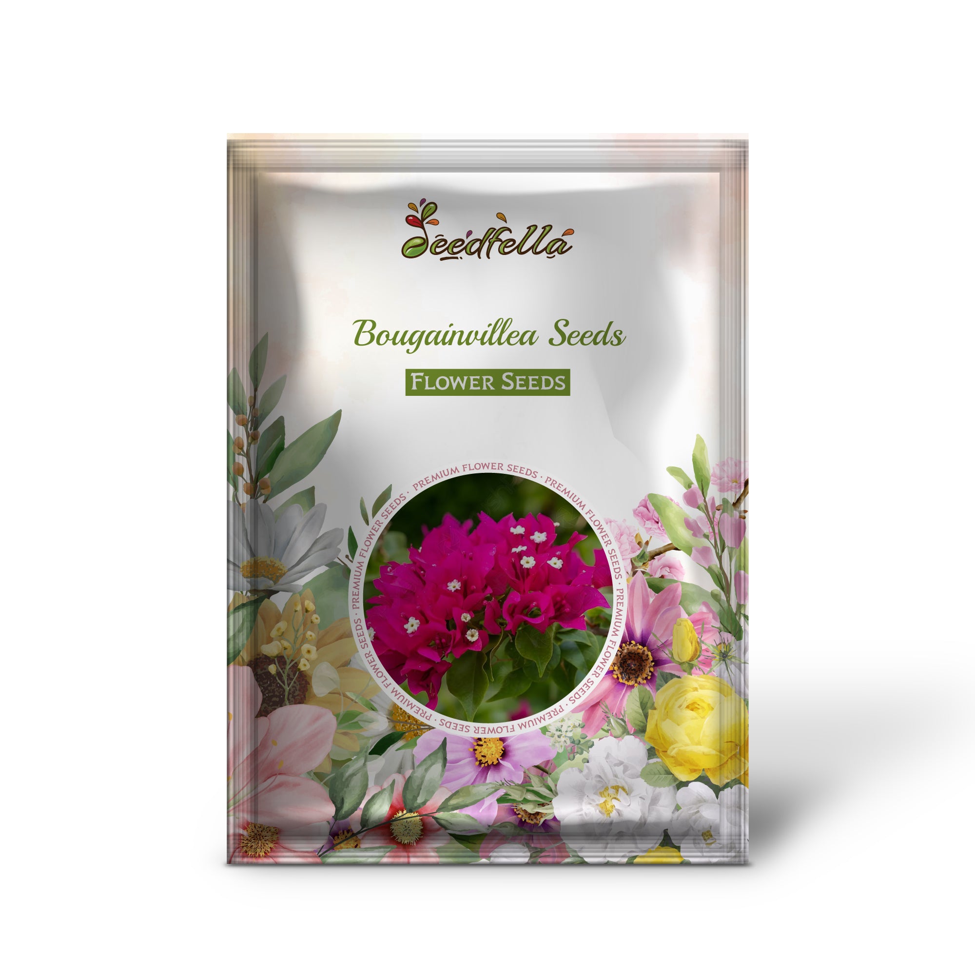 Non GMO Bougainvillea seeds for home gardening
