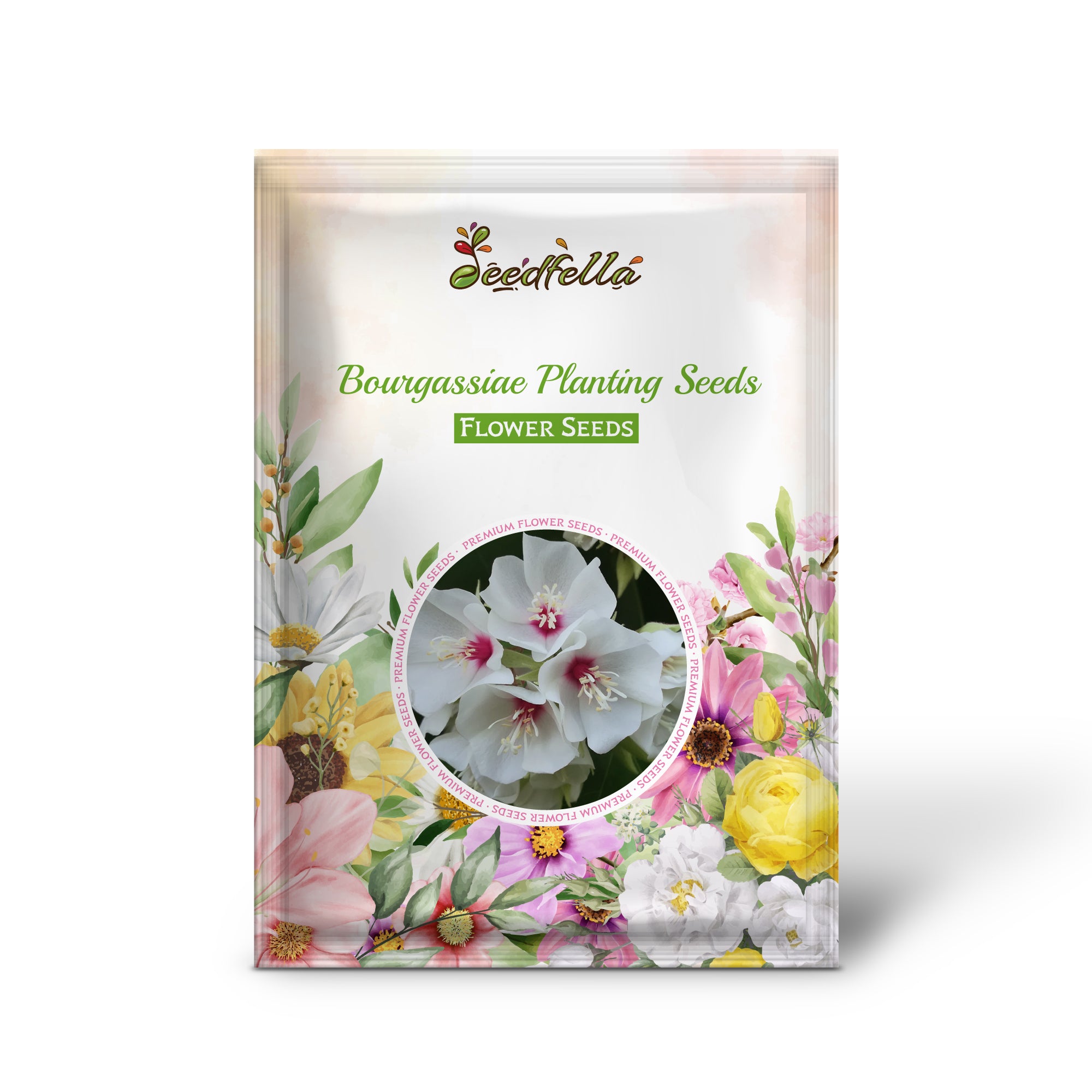 Lush Bourgassiae plants thriving in garden