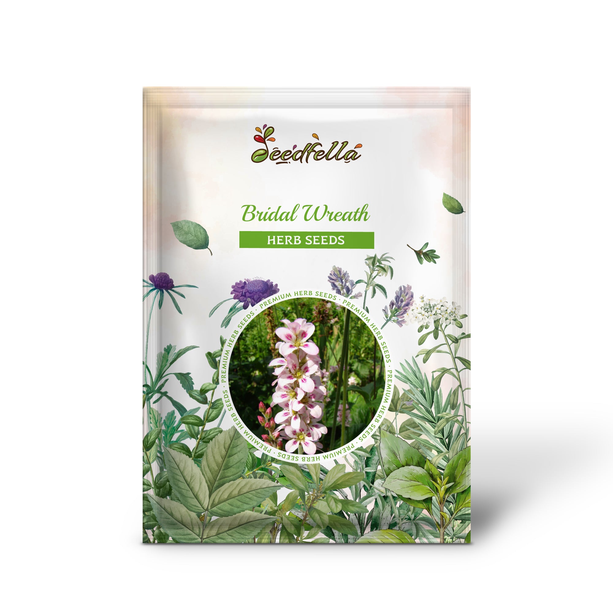 Part shade Bridal Wreath flowers grown from non-GMO seeds in woodland gardens