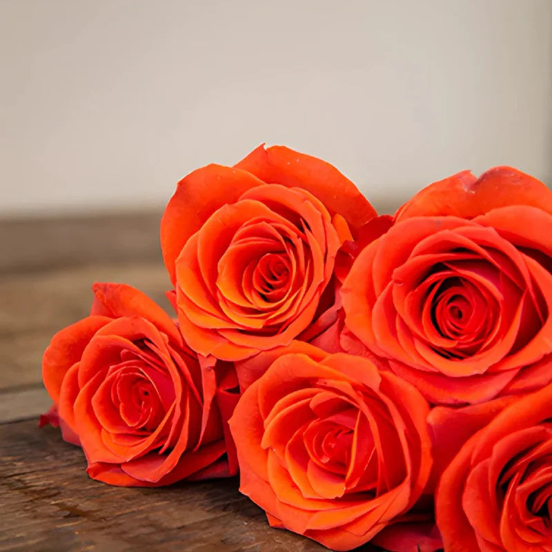 Unique Orange Roses Planting Seeds - Seed For Exceptional And Beautiful Floral Arrangements