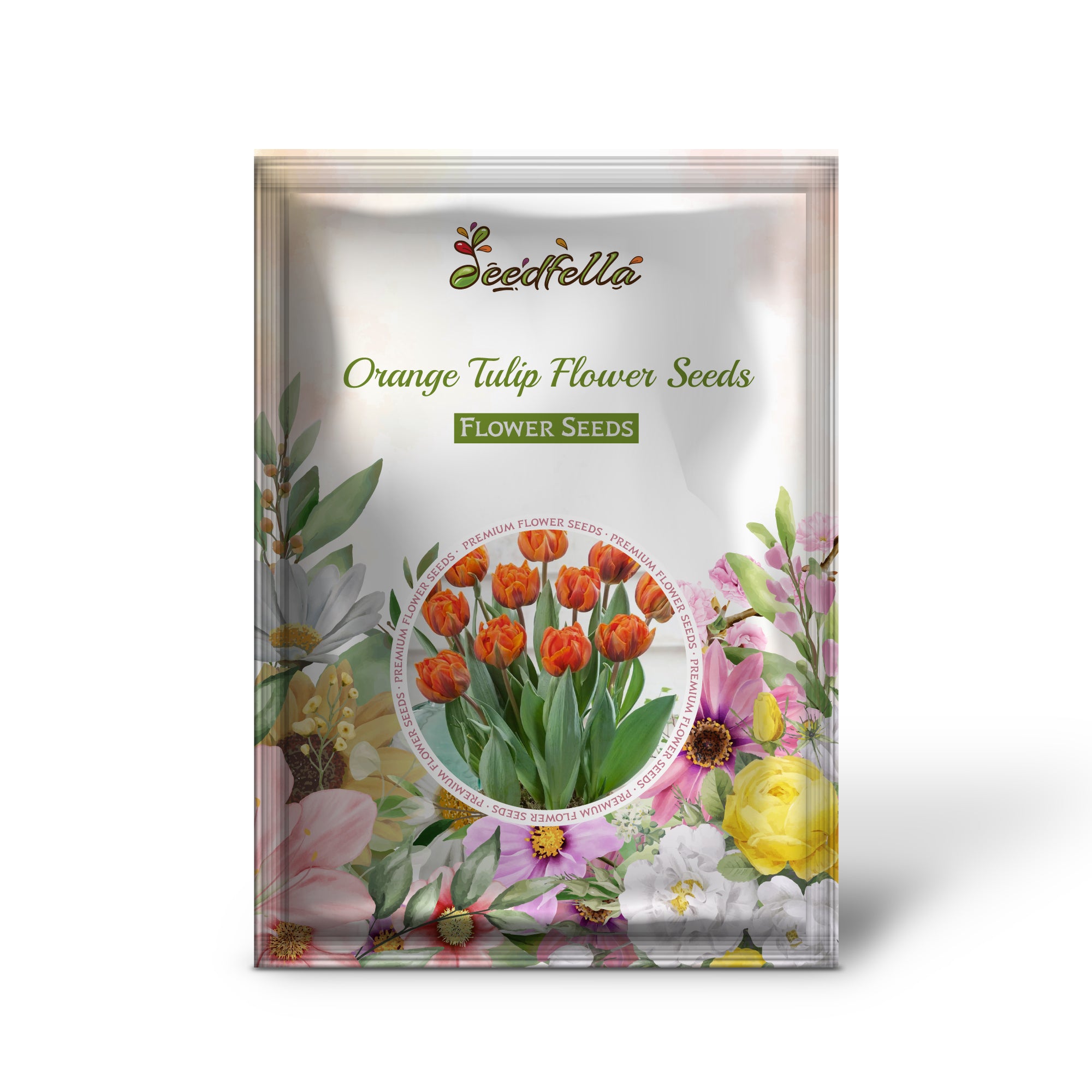 Bright Orange Tulip Blooms in Garden