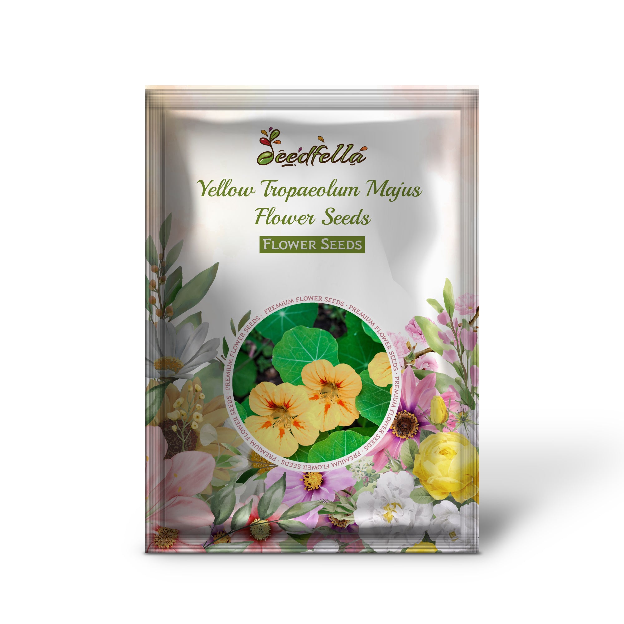 Bright Yellow Tropaeolum Majus Flowers in Garden